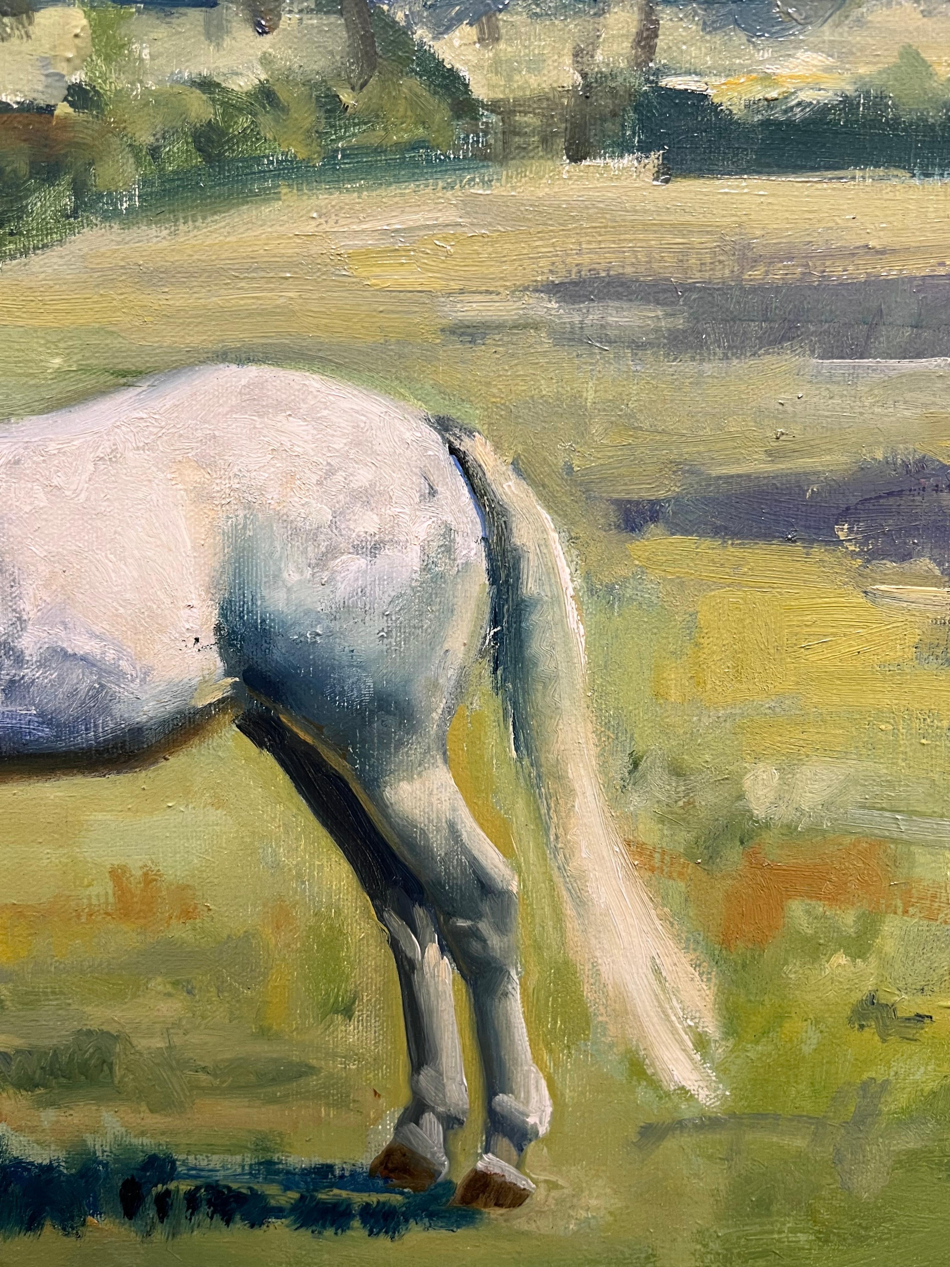 Large British Sporting Art Oil Painting White Horse in Green Fields signed 20thC For Sale 4