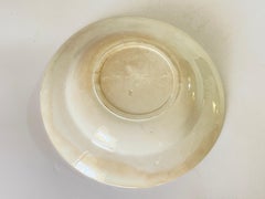 English Faience 19th Century, Hand Painted, Flowers and Birds Decor Pattern