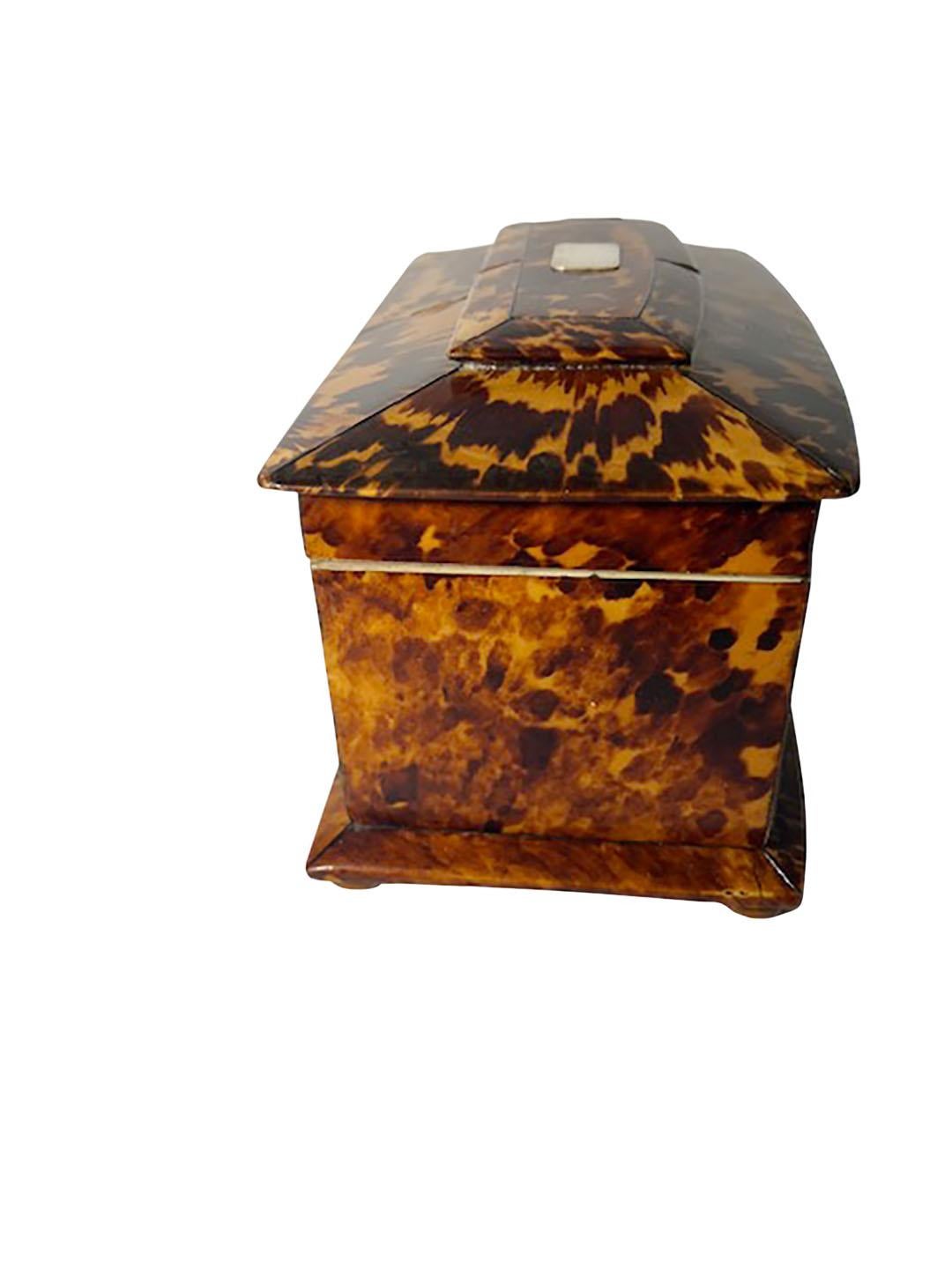 English Tortoiseshell Tea Caddy For Sale 1