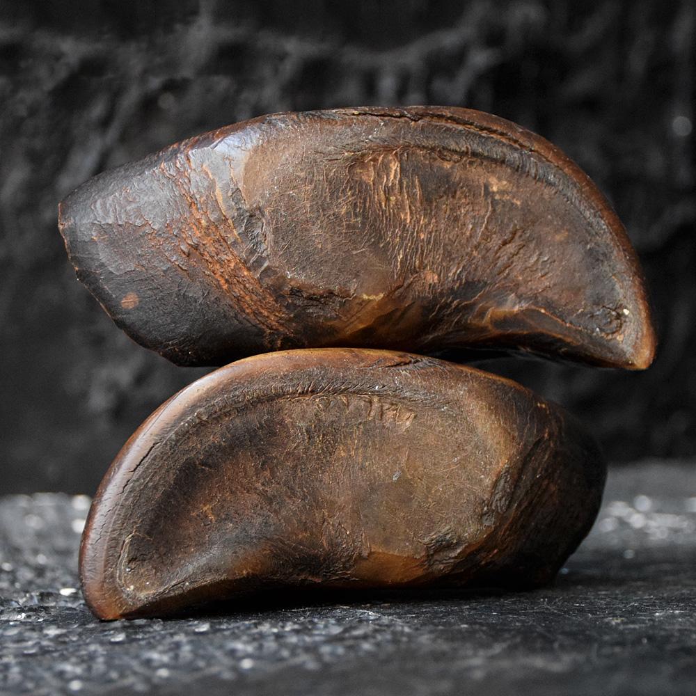 Natural Fiber English Folk Art Carved Hooves, circa 1850