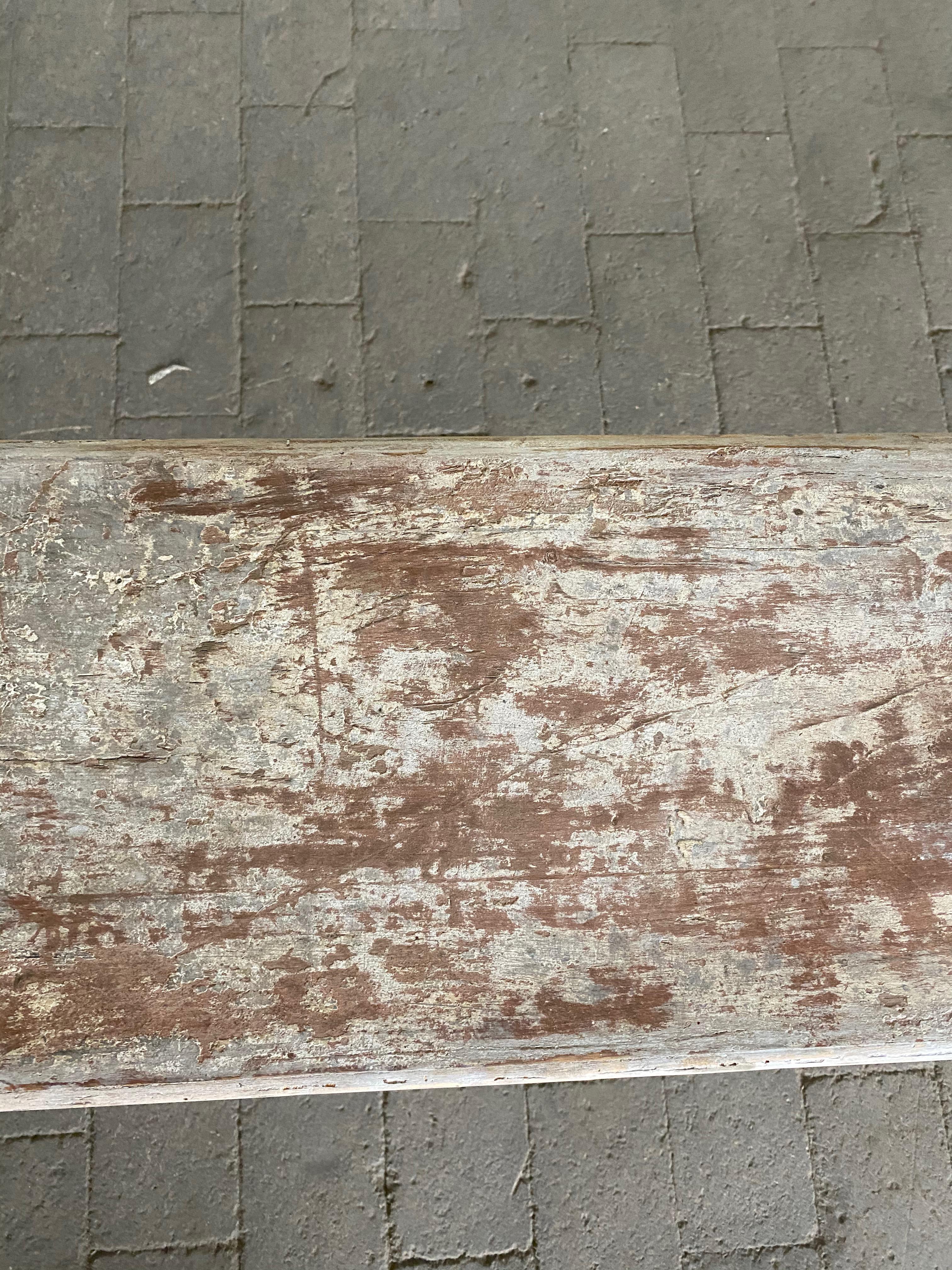 English Garden Bench with Cast Iron Serpent Base 11