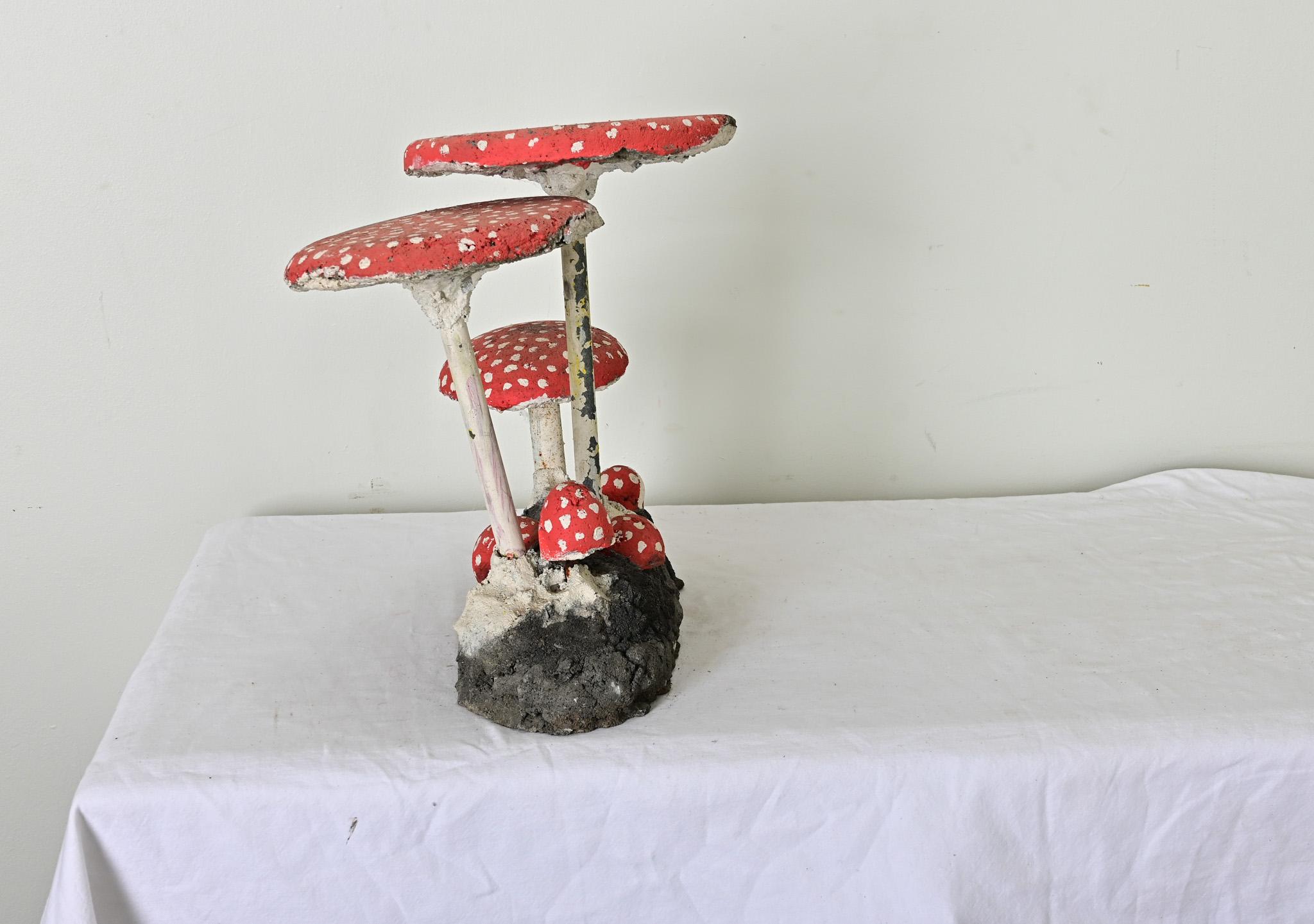 Setas de la huerta inglesa en venta 2