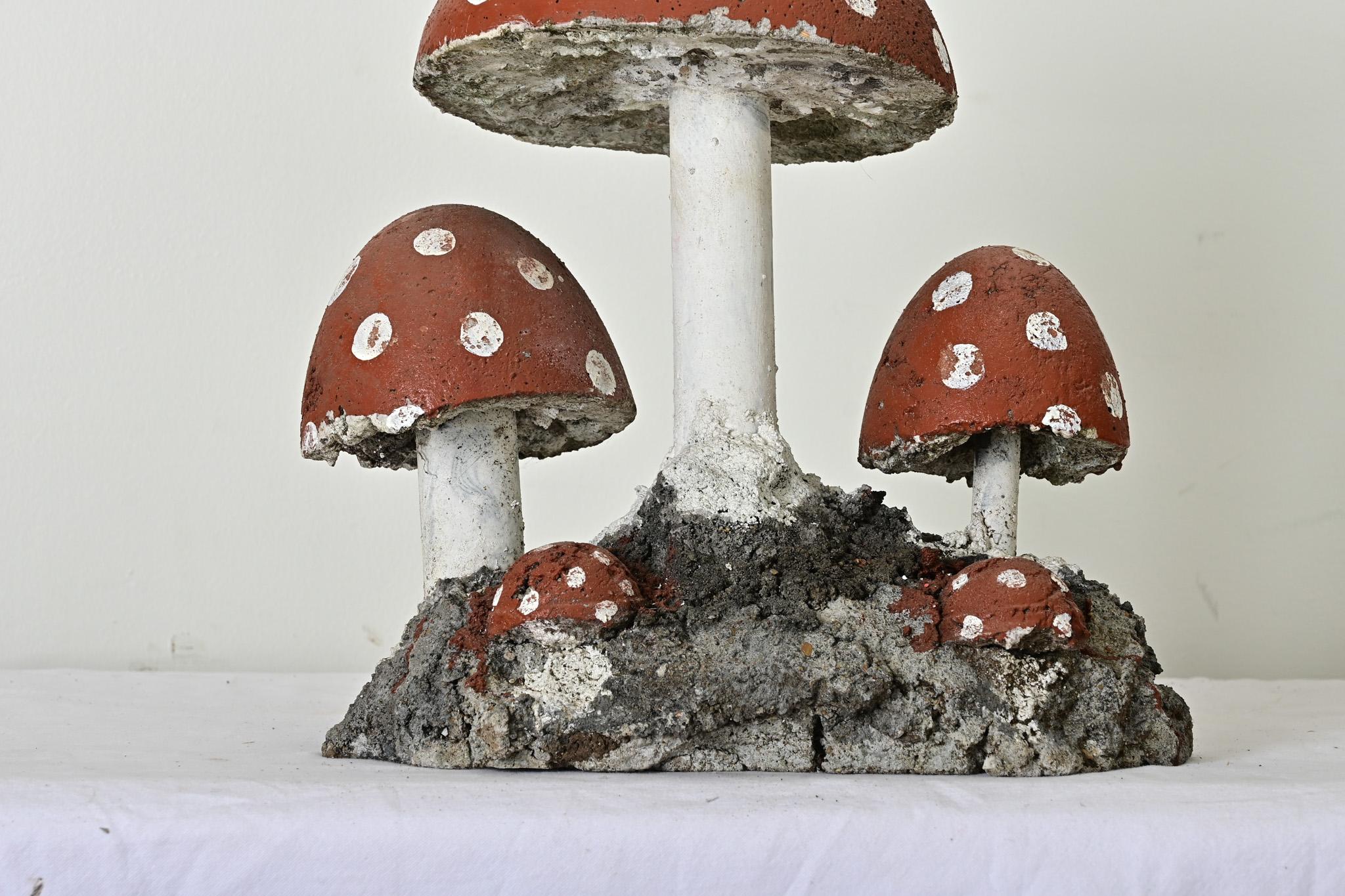 Other English Garden Mushrooms