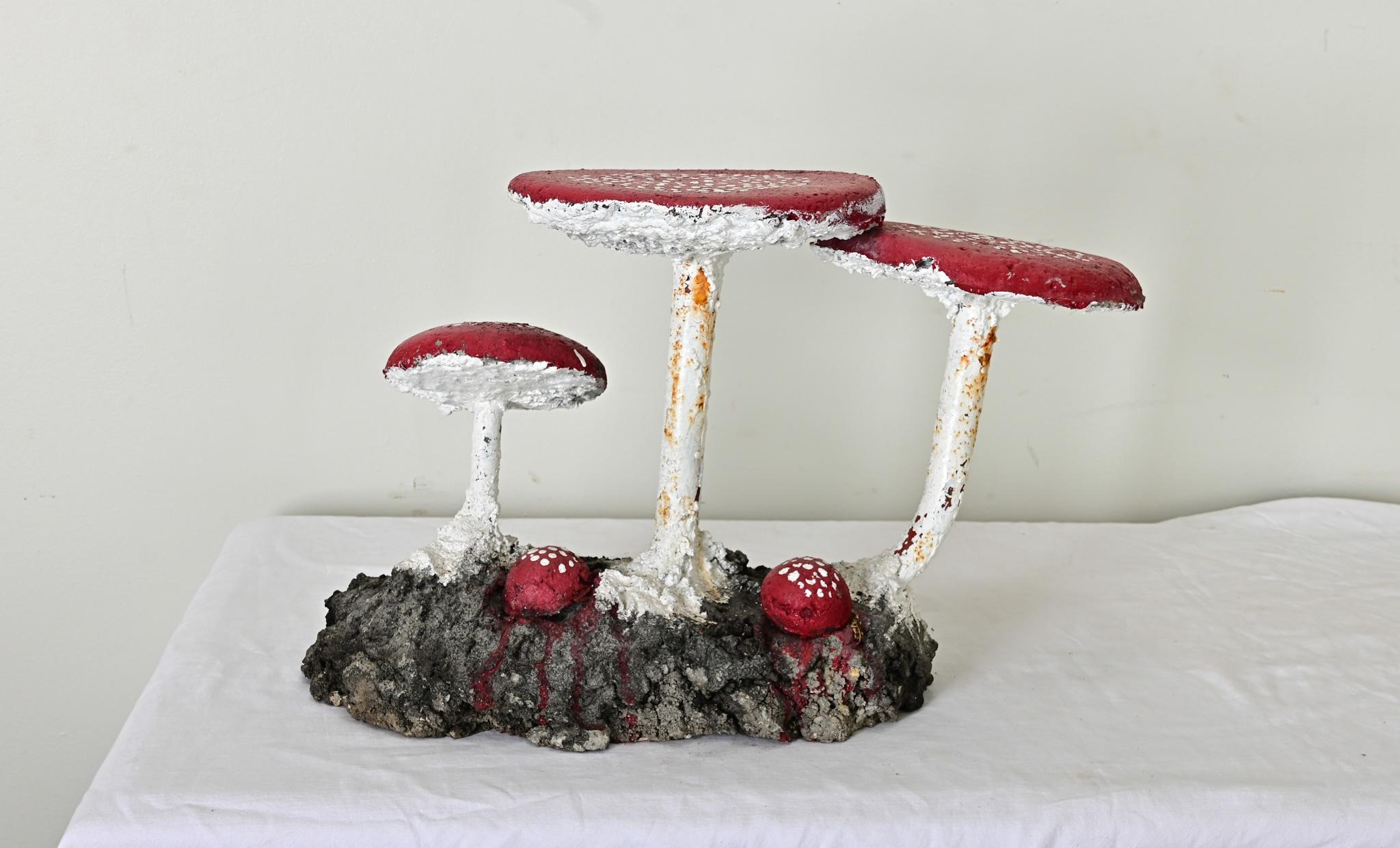 Setas de la huerta inglesa siglo XX en venta