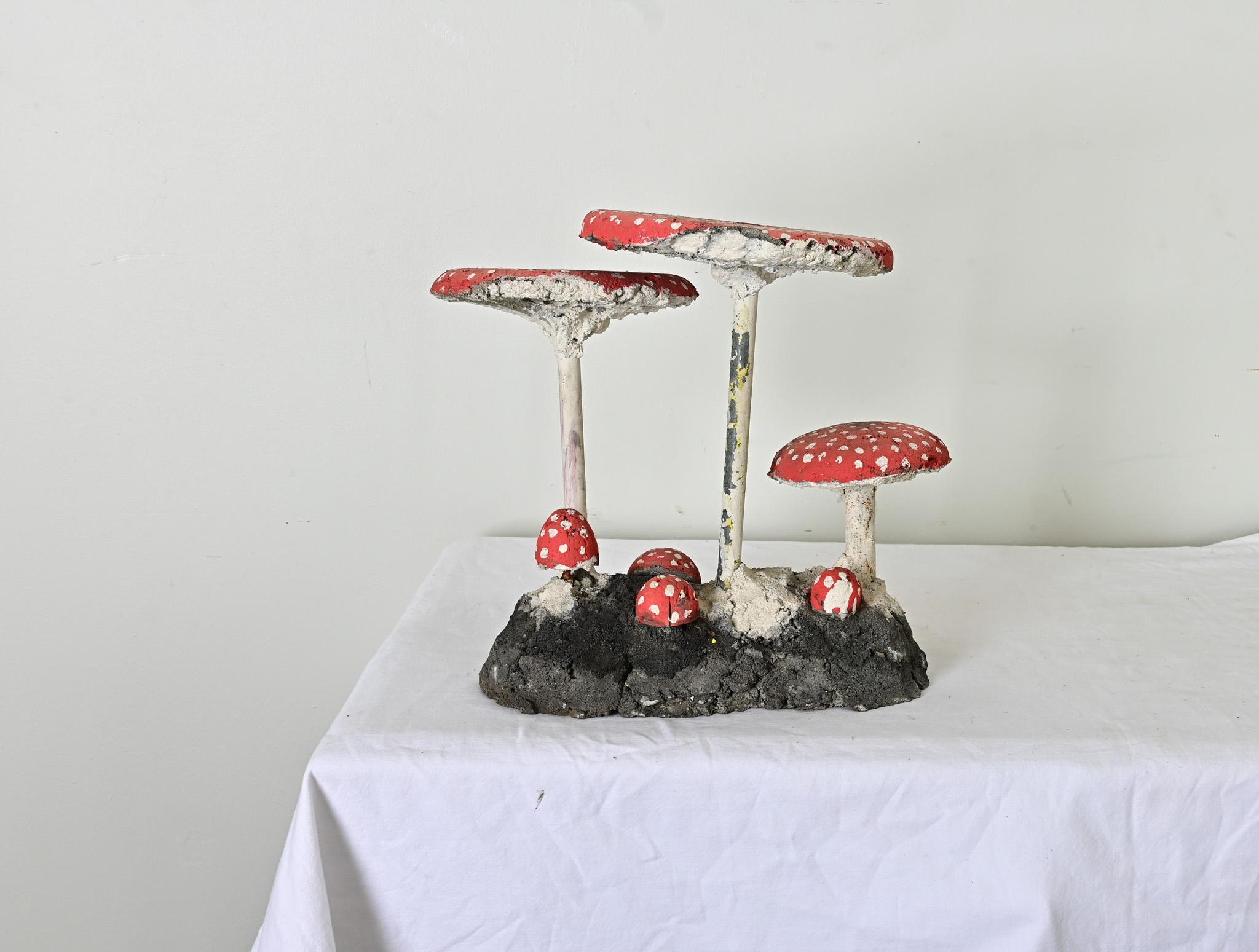 Setas de la huerta inglesa en venta 1