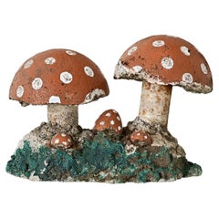English Garden Mushrooms