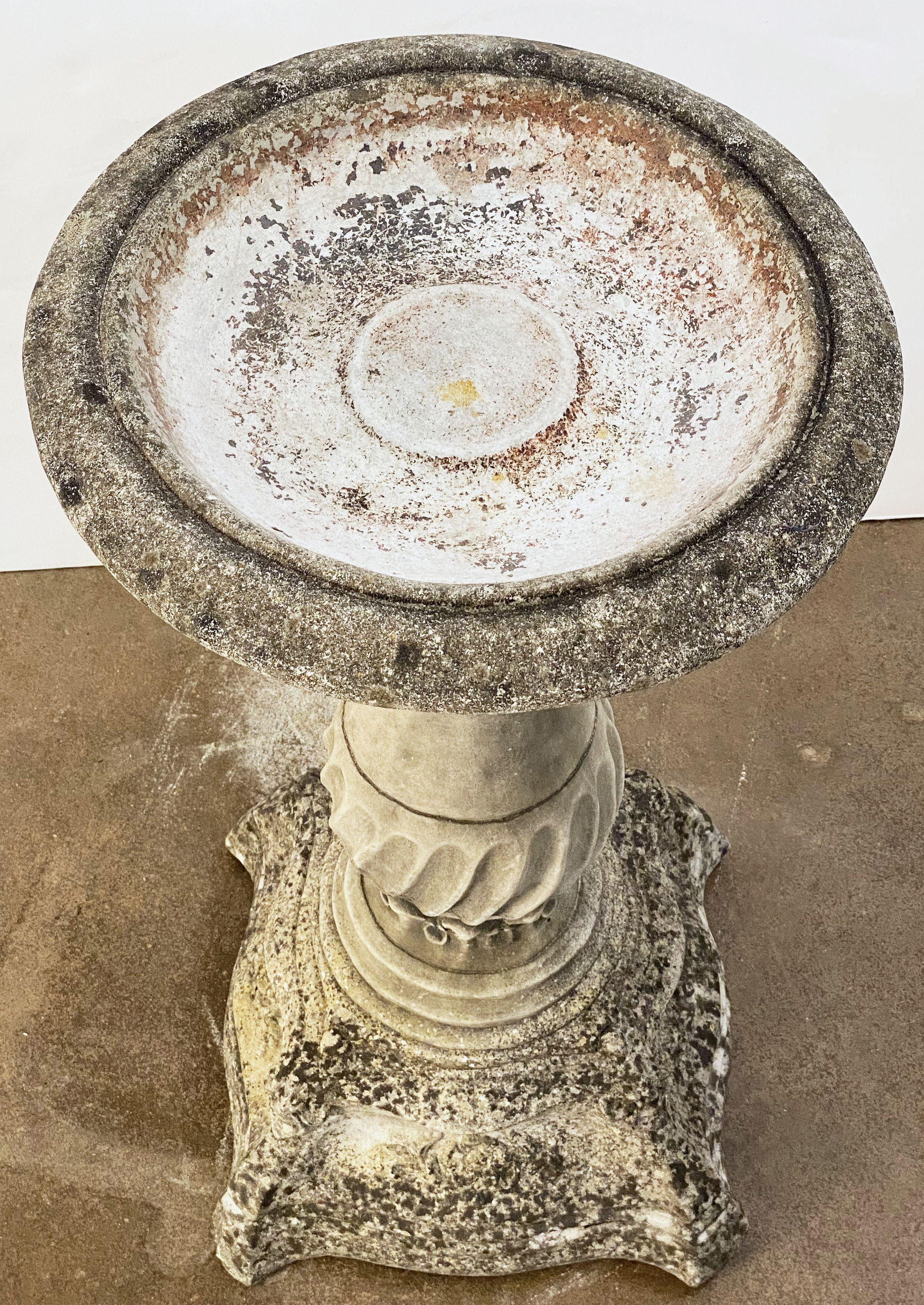 20th Century English Garden Stone Bird Bath on Classical Baluster Pedestal Plinth