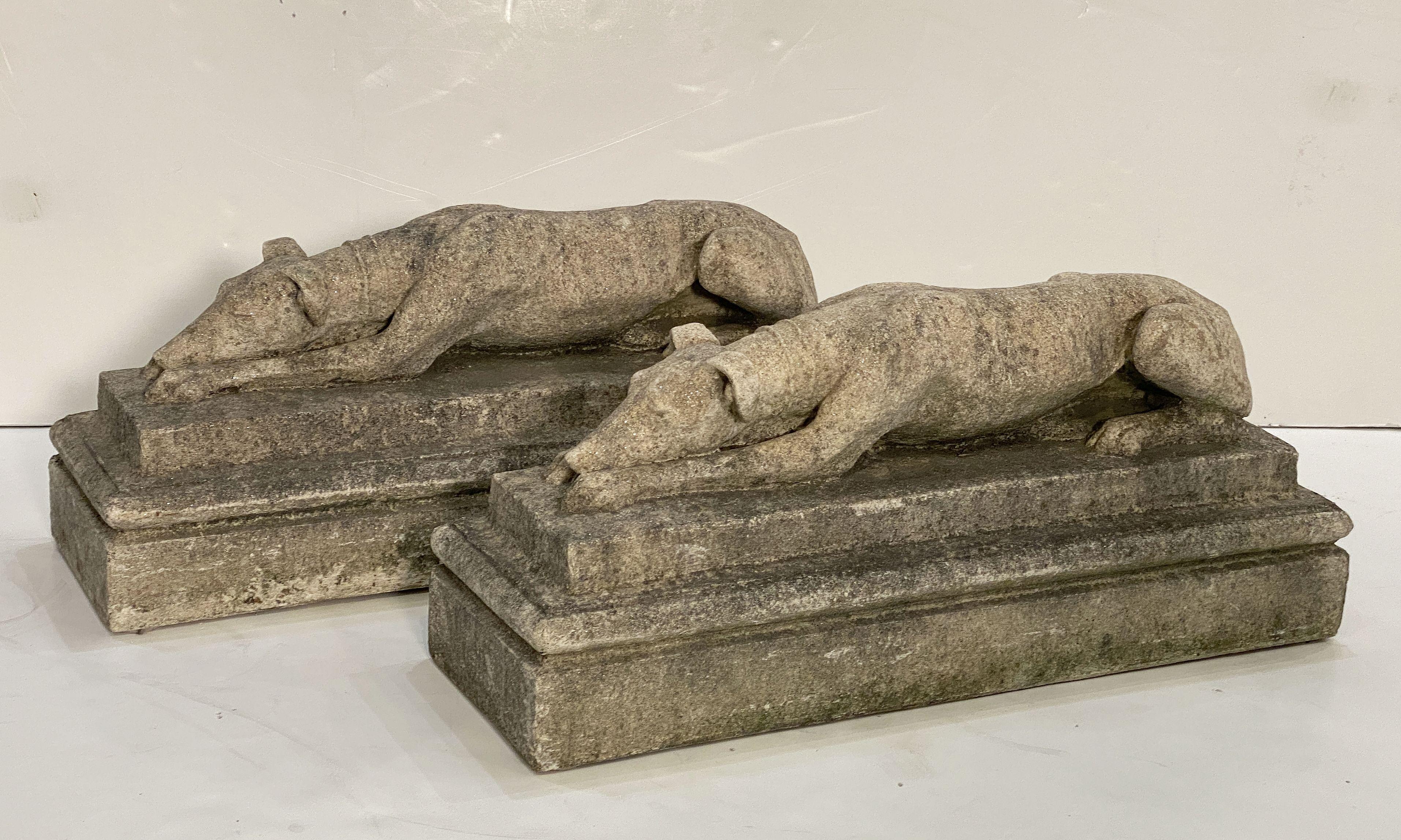 A pair of finely modeled English garden stone whippets or greyhound dogs in a recumbent position on long rectangular raised platform bases, each with collar around the neck.

Perfect for a garden or door entrance.

Two available - Individually