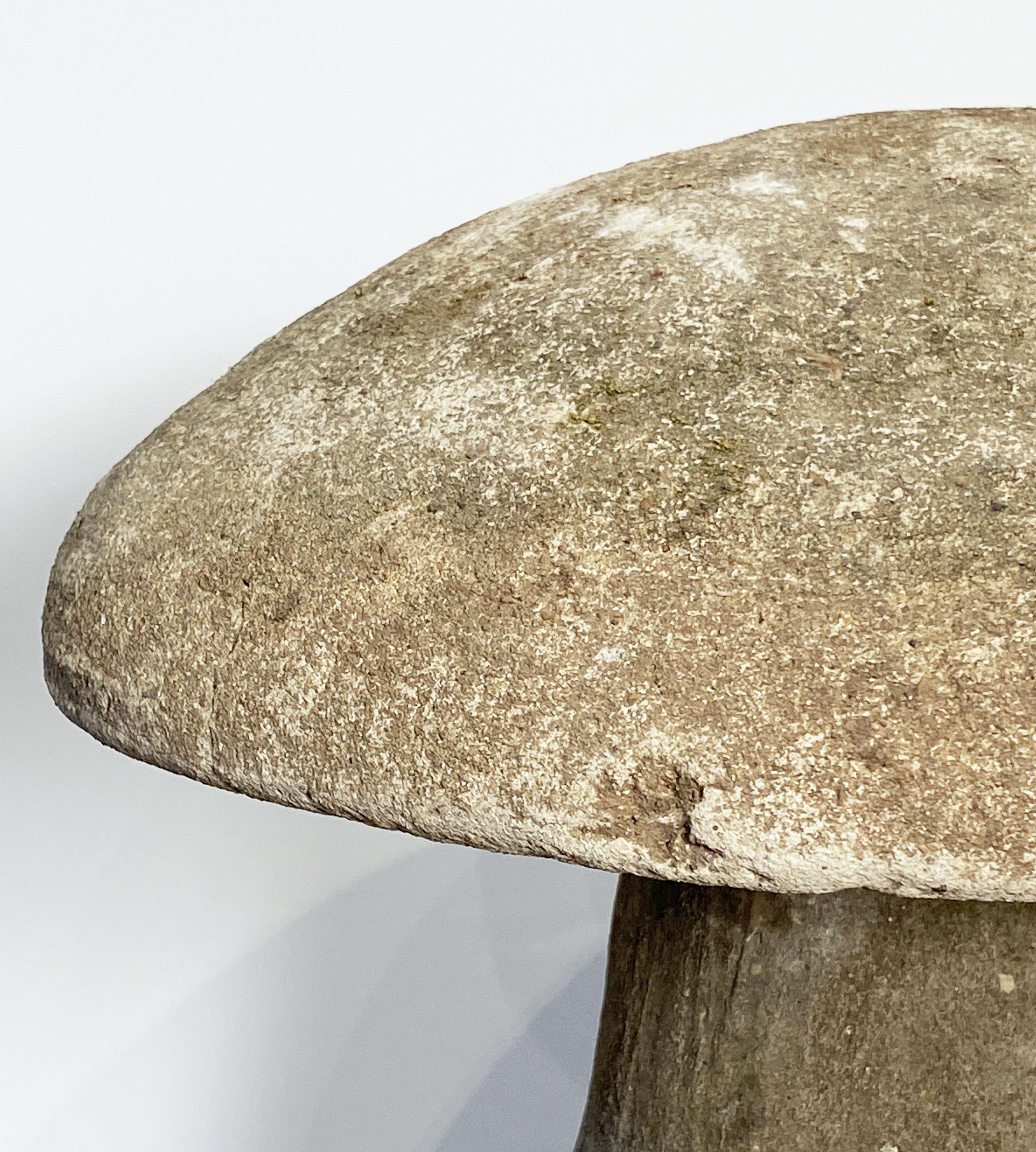 English Garden Stone Mushroom (H 16 3/4) 4