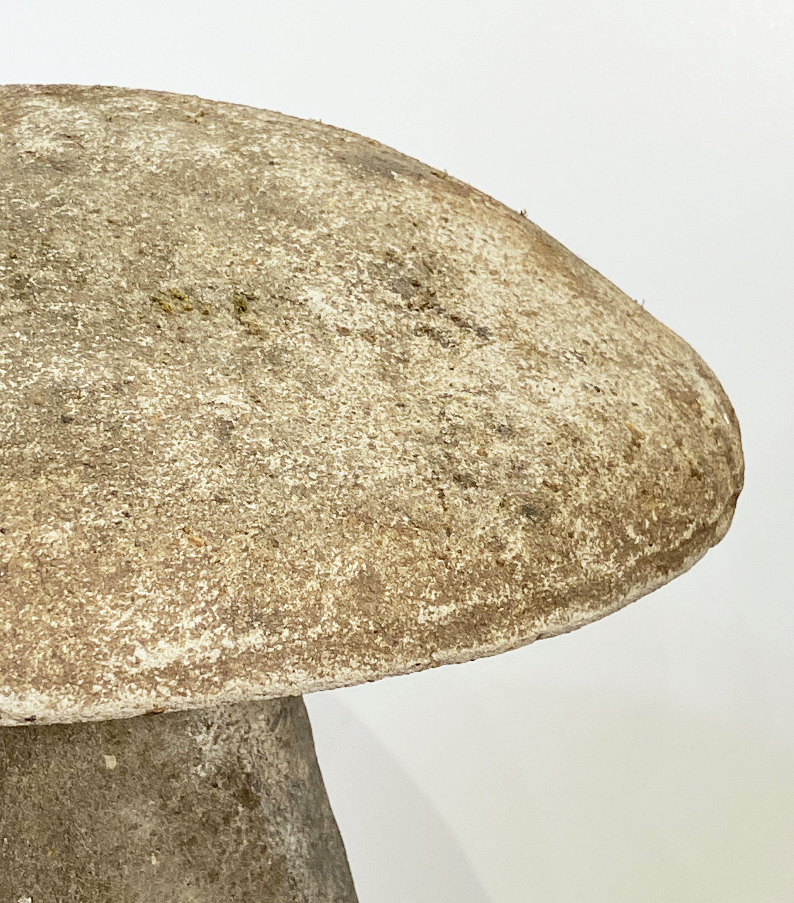 English Garden Stone Mushroom (H 16 3/4) 6