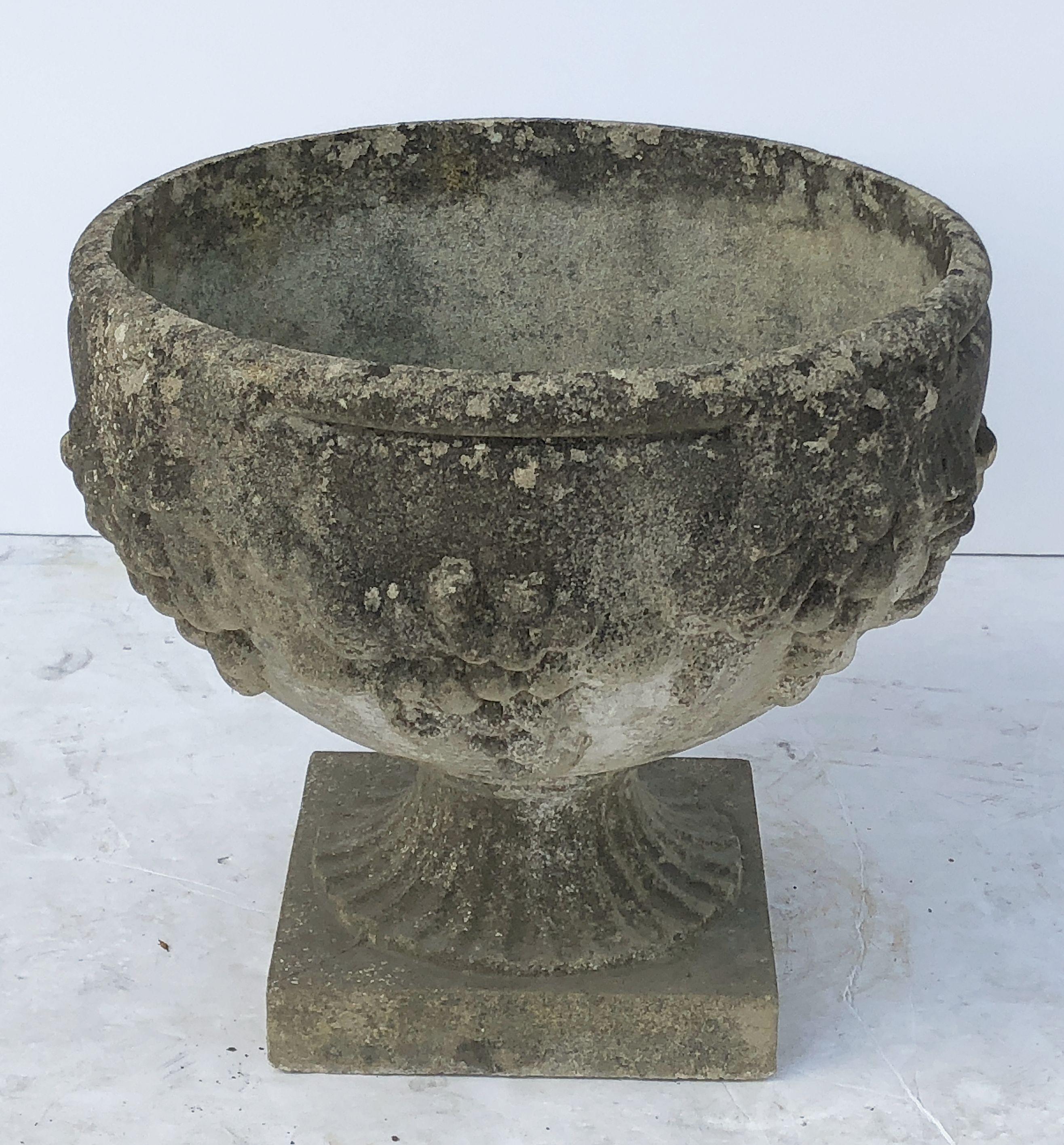 A fine English garden planter or urn (jardinière or pot) of composition stone, featuring a round bowl with a relief of grapes around the circumference on a raised square plinth base with fluted design.

Perfect for an indoor or outdoor garden,