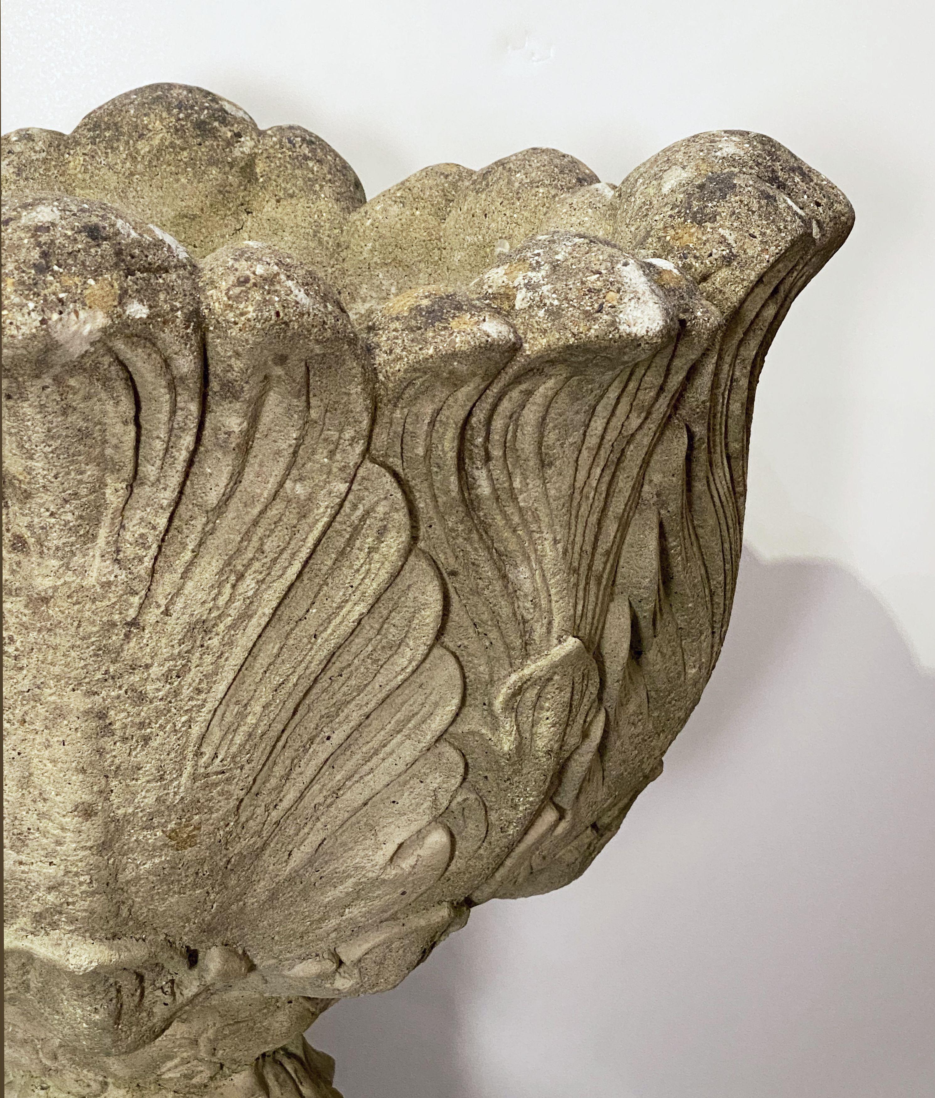 English Garden Stone Urn or Planter Pot on Plinth with Acanthus Leaf Design 7