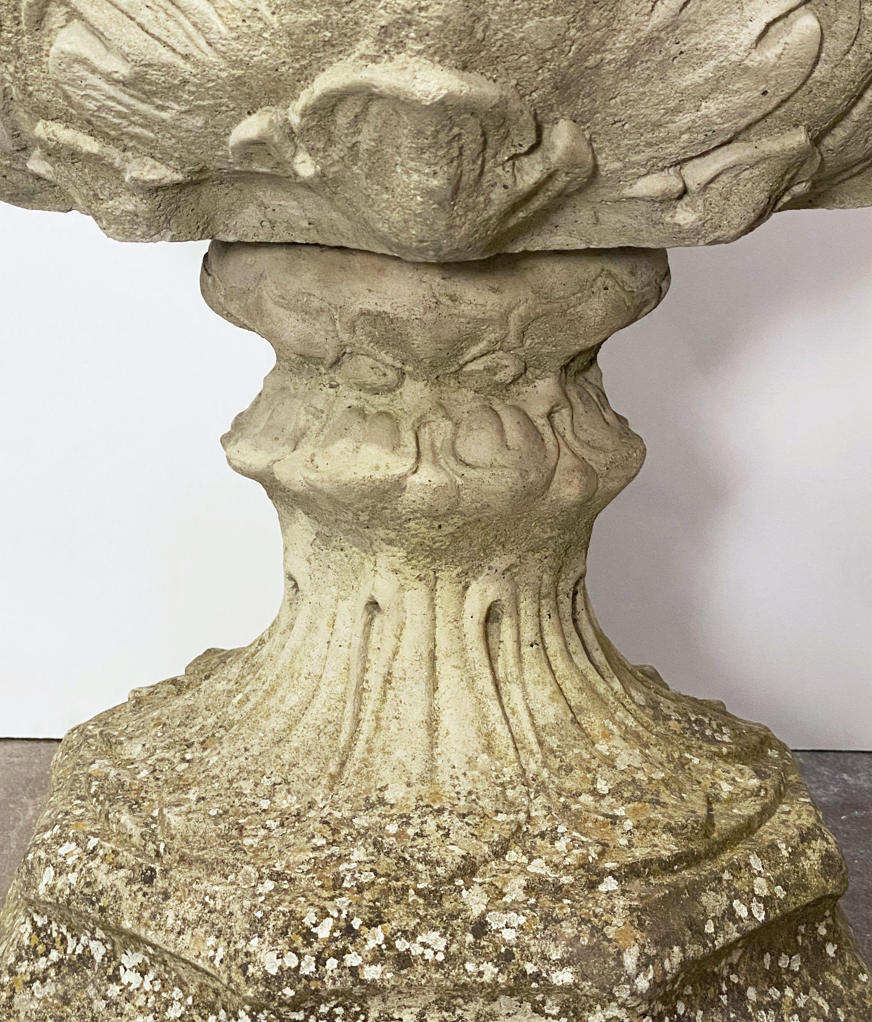 English Garden Stone Urn or Planter Pot on Plinth with Acanthus Leaf Design 8