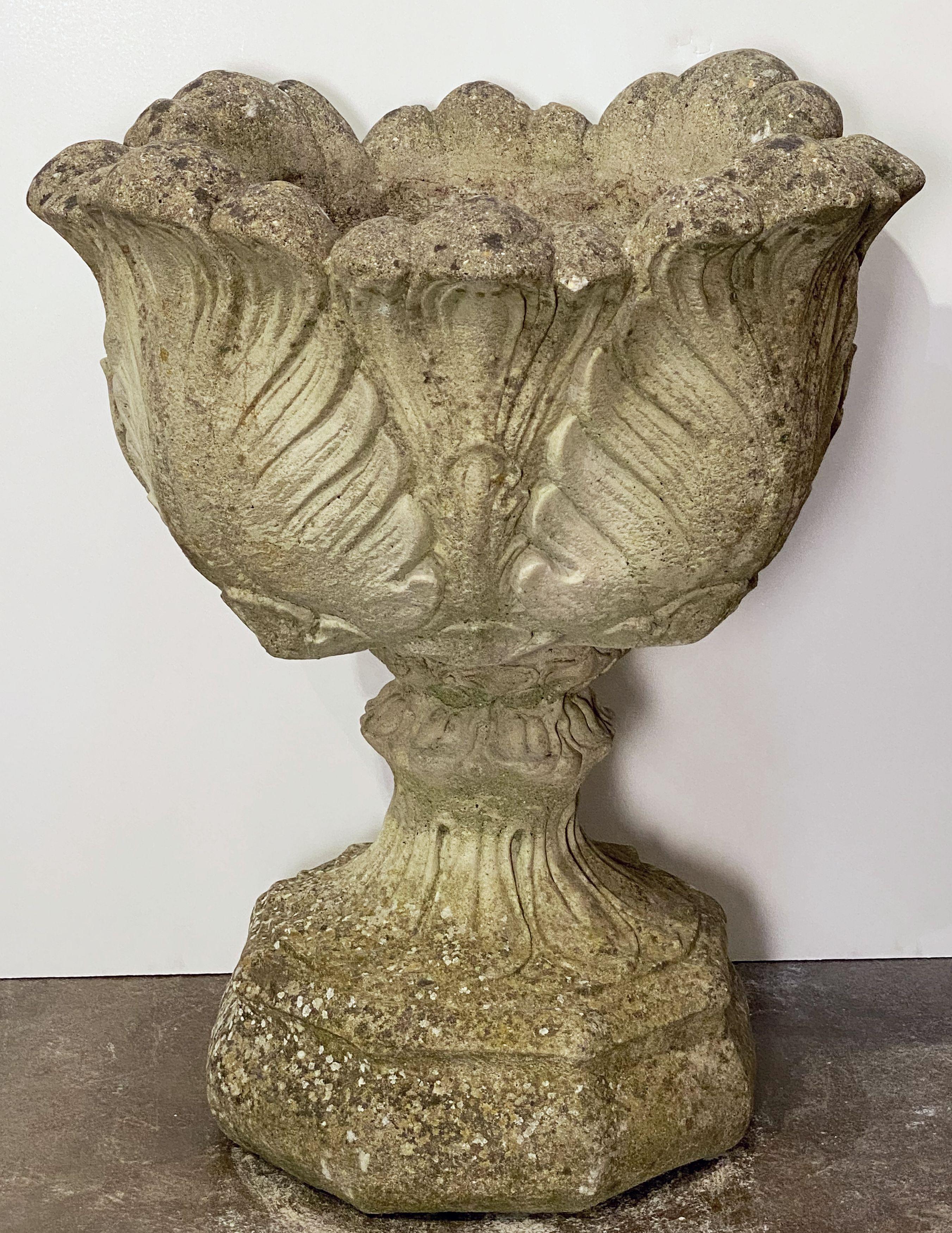 English Garden Stone Urn or Planter Pot on Plinth with Acanthus Leaf Design 1