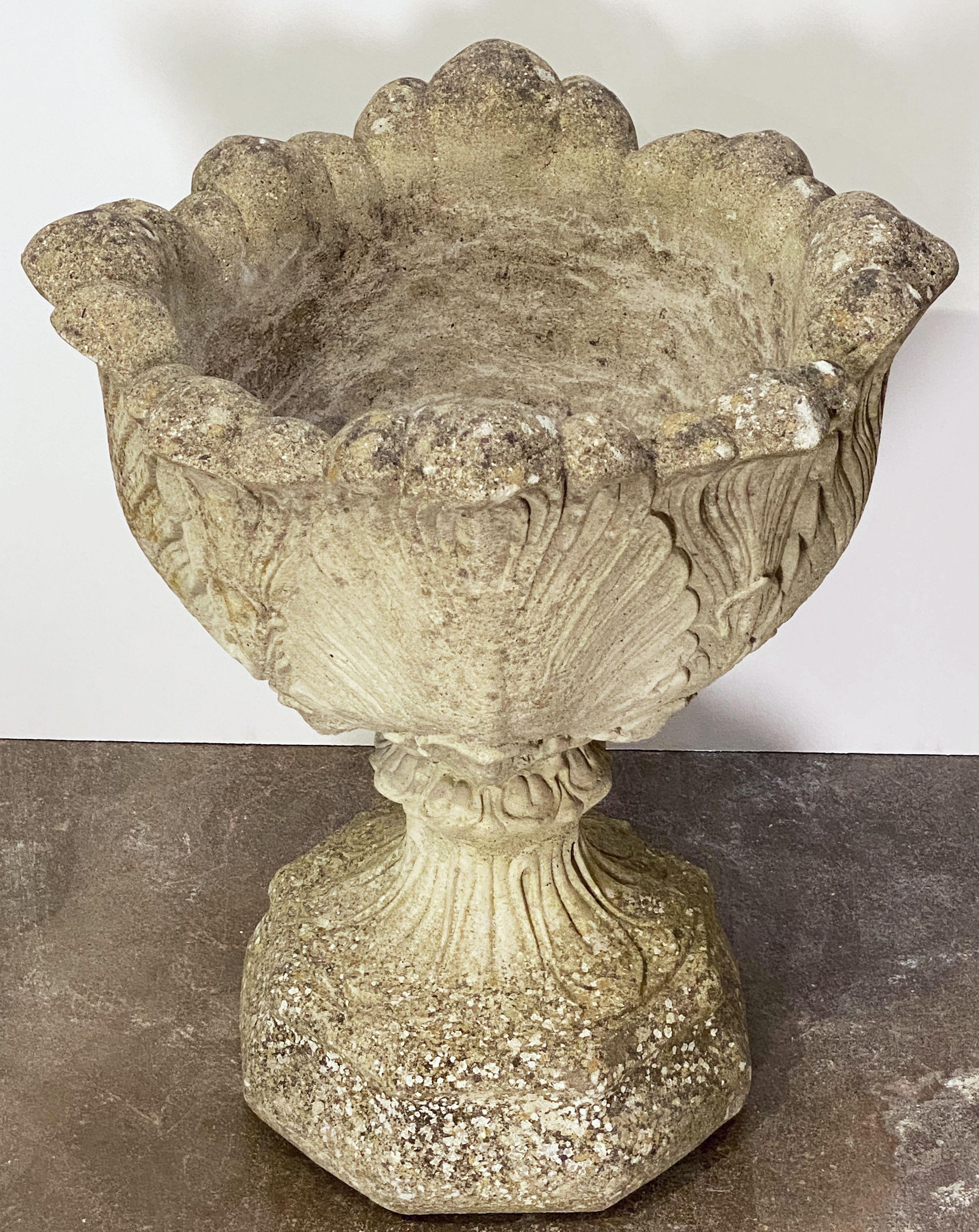 English Garden Stone Urn or Planter Pot on Plinth with Acanthus Leaf Design 3