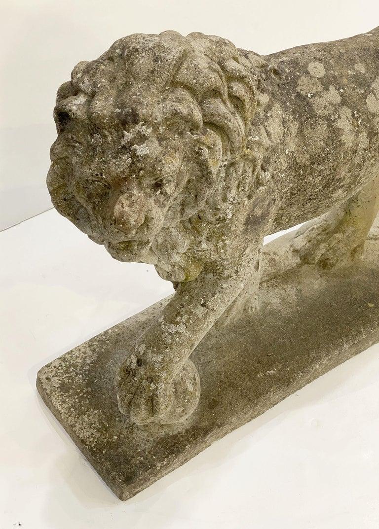 English Garden Stone Standing Lion Figural Statue  en vente 4