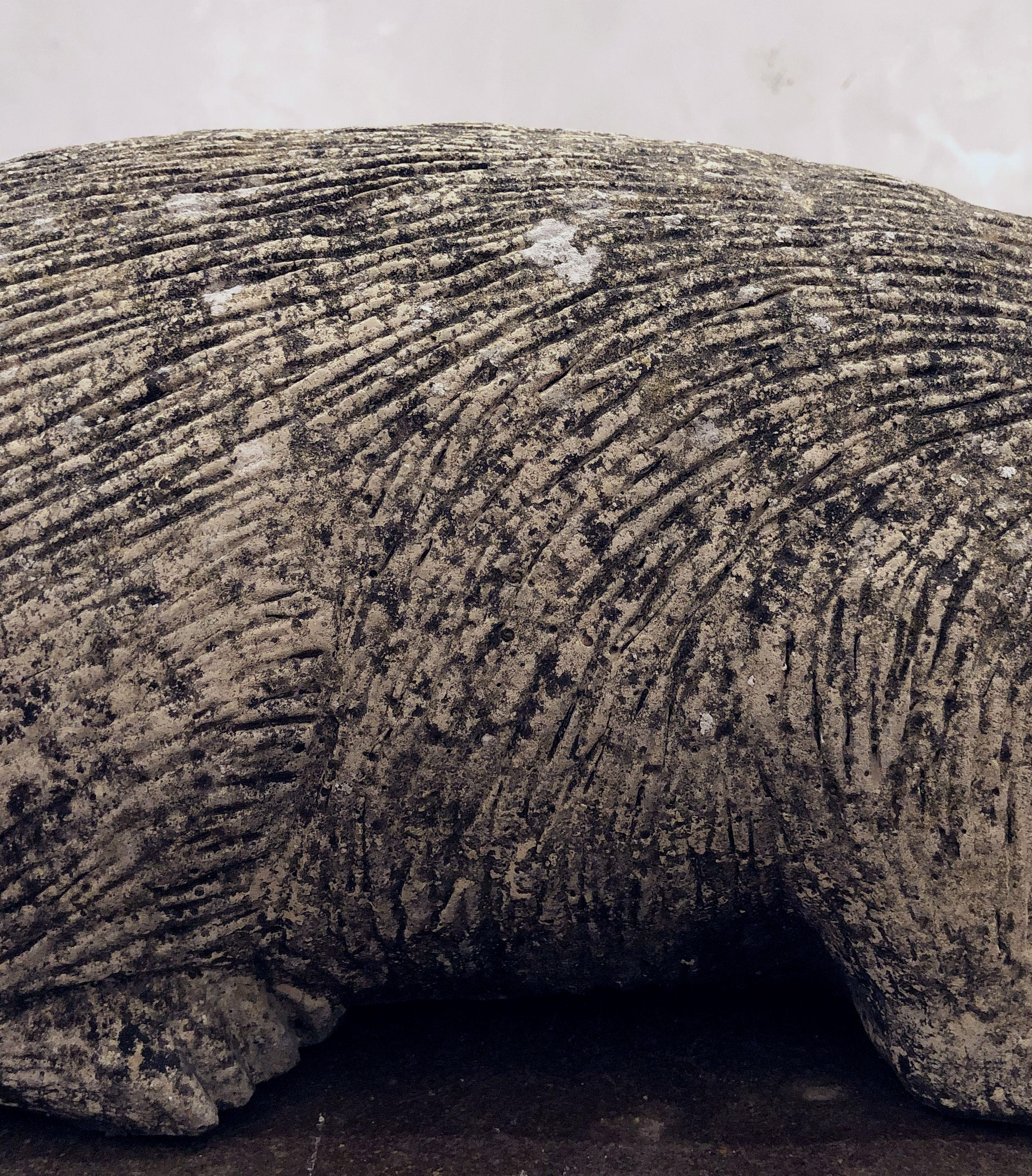 English Garden Stone Statue of a Badger 8