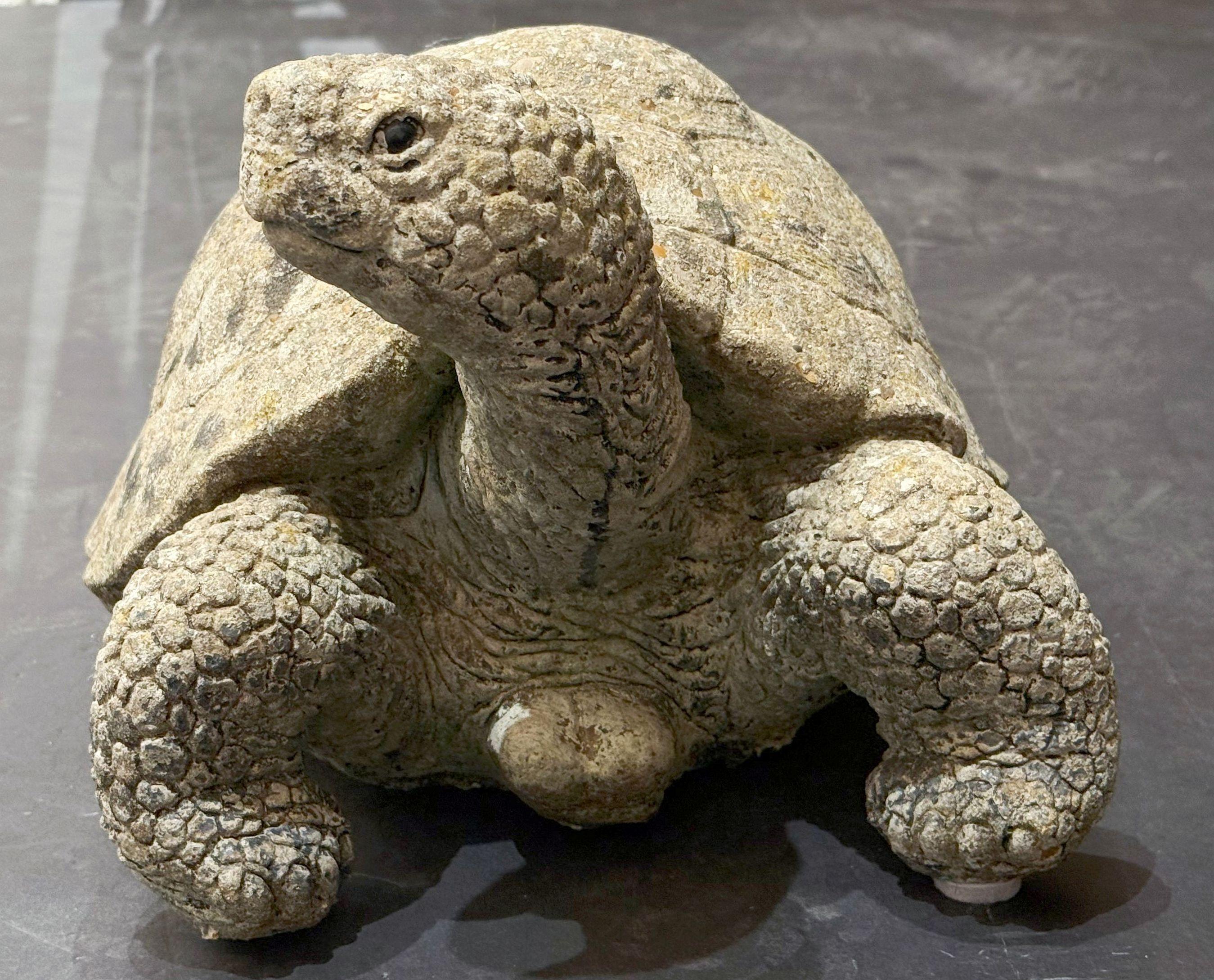 20ième siècle Sculpture de tortue en pierre du jardin anglais en vente