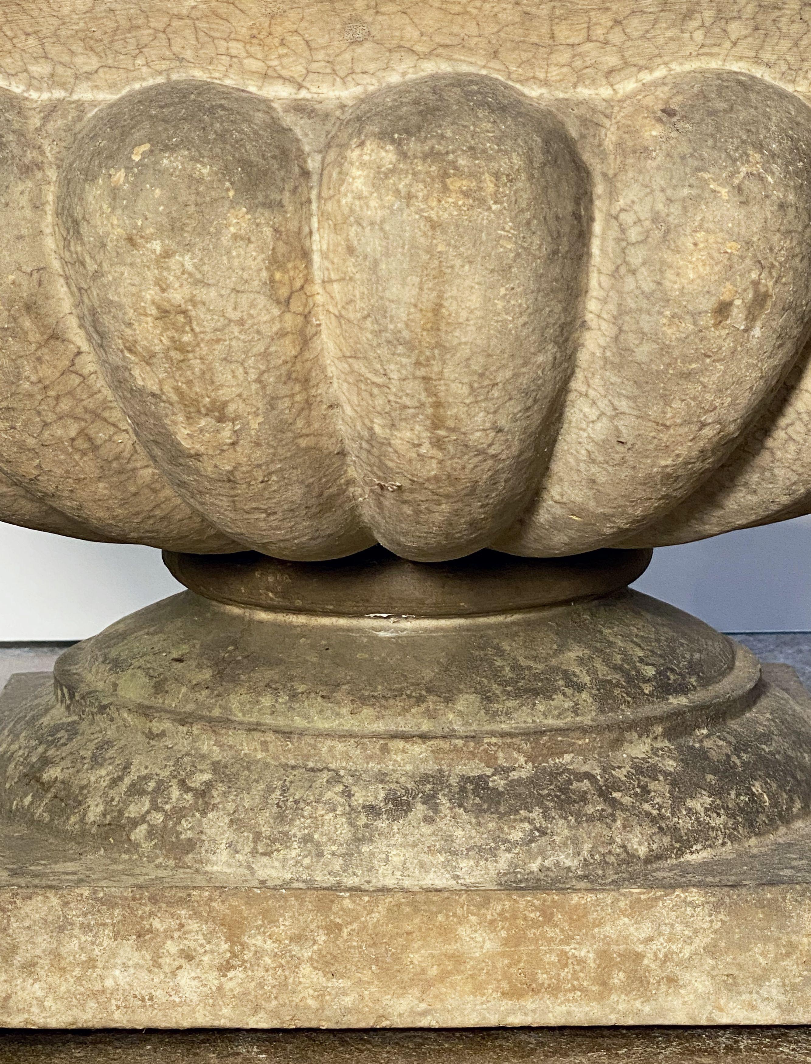 English Garden Urn or Planter Pot on Low Pedestal of Terracotta 1