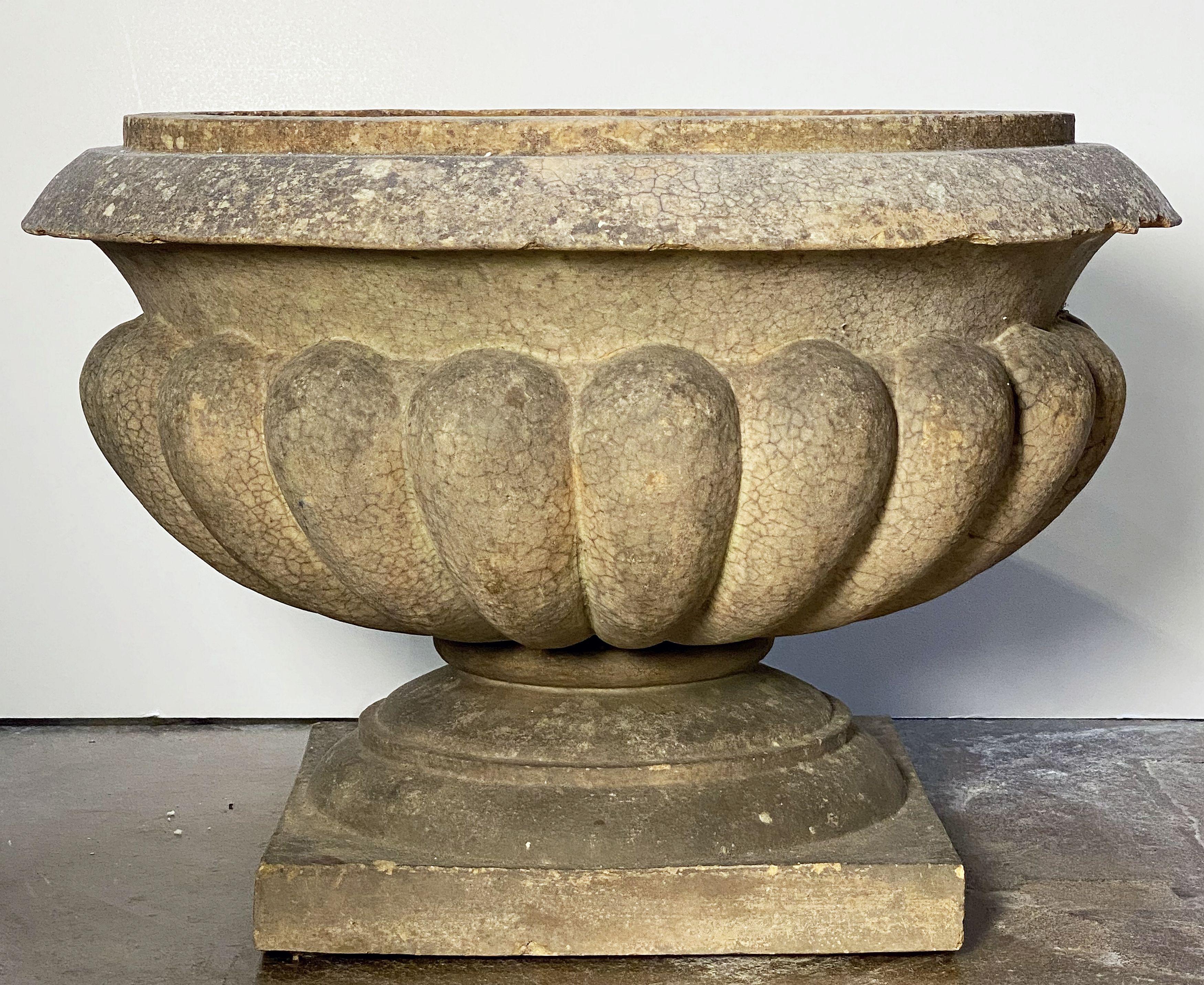 English Garden Urn or Planter Pot on Low Pedestal of Terracotta 6