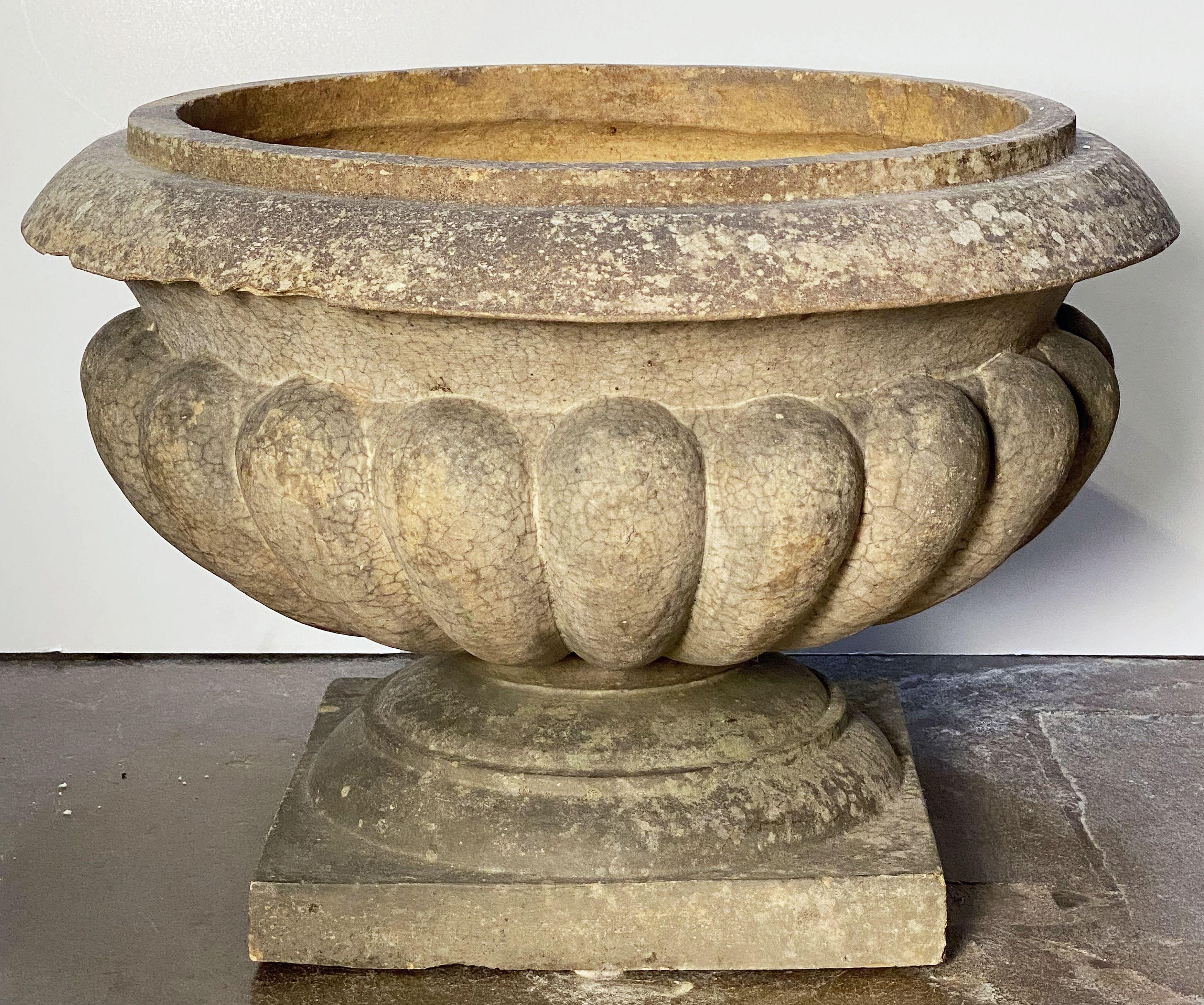 English Garden Urn or Planter Pot on Low Pedestal of Terracotta 7