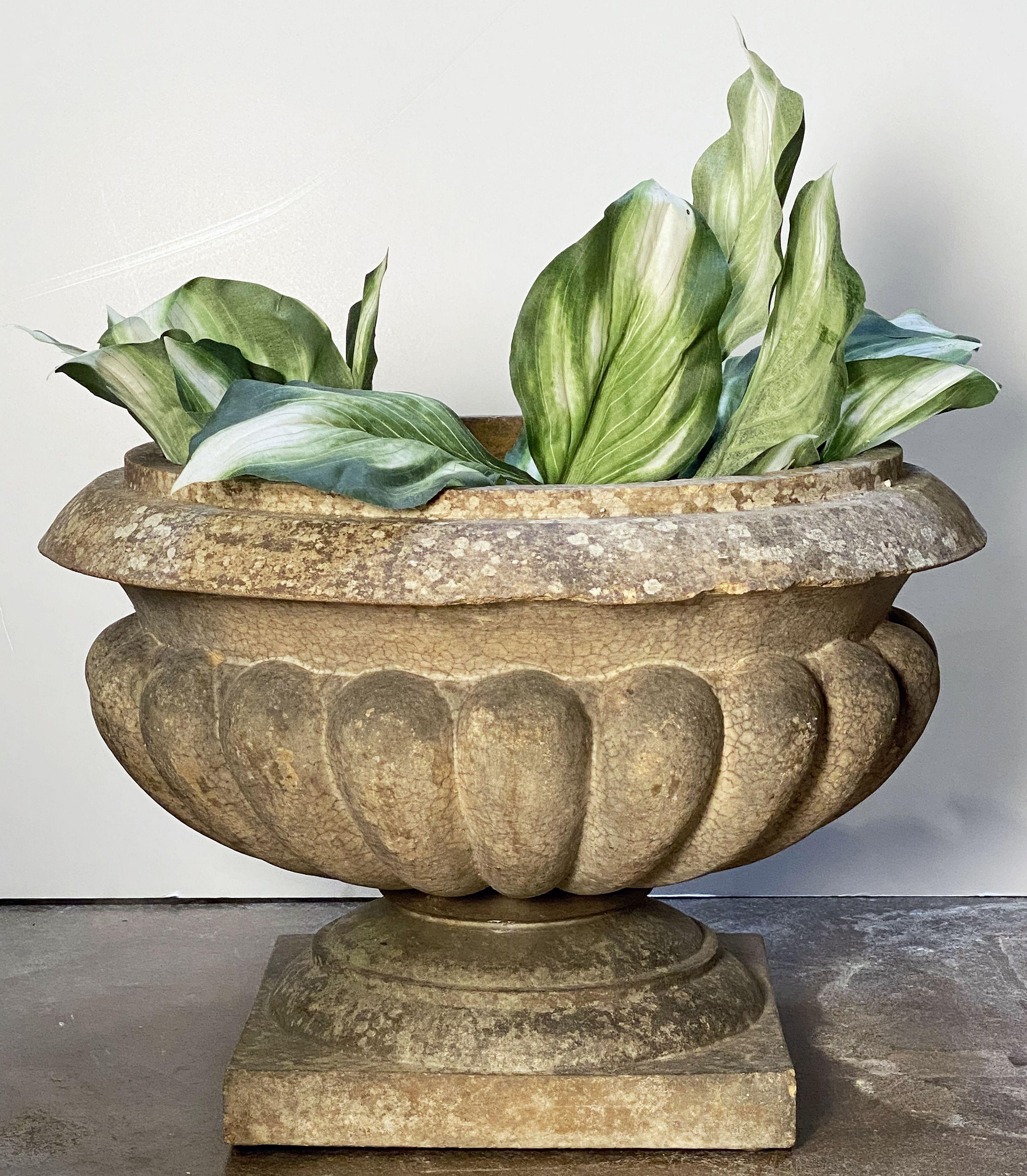A fine English garden urn or planter pot of terra cotta in the Classical style, featuring a round rolled edge over a segmented or fluted body and resting a square pedestal plinth base.

Dimensions are Height 14 1/2 inches x (Outside) Diameter 21