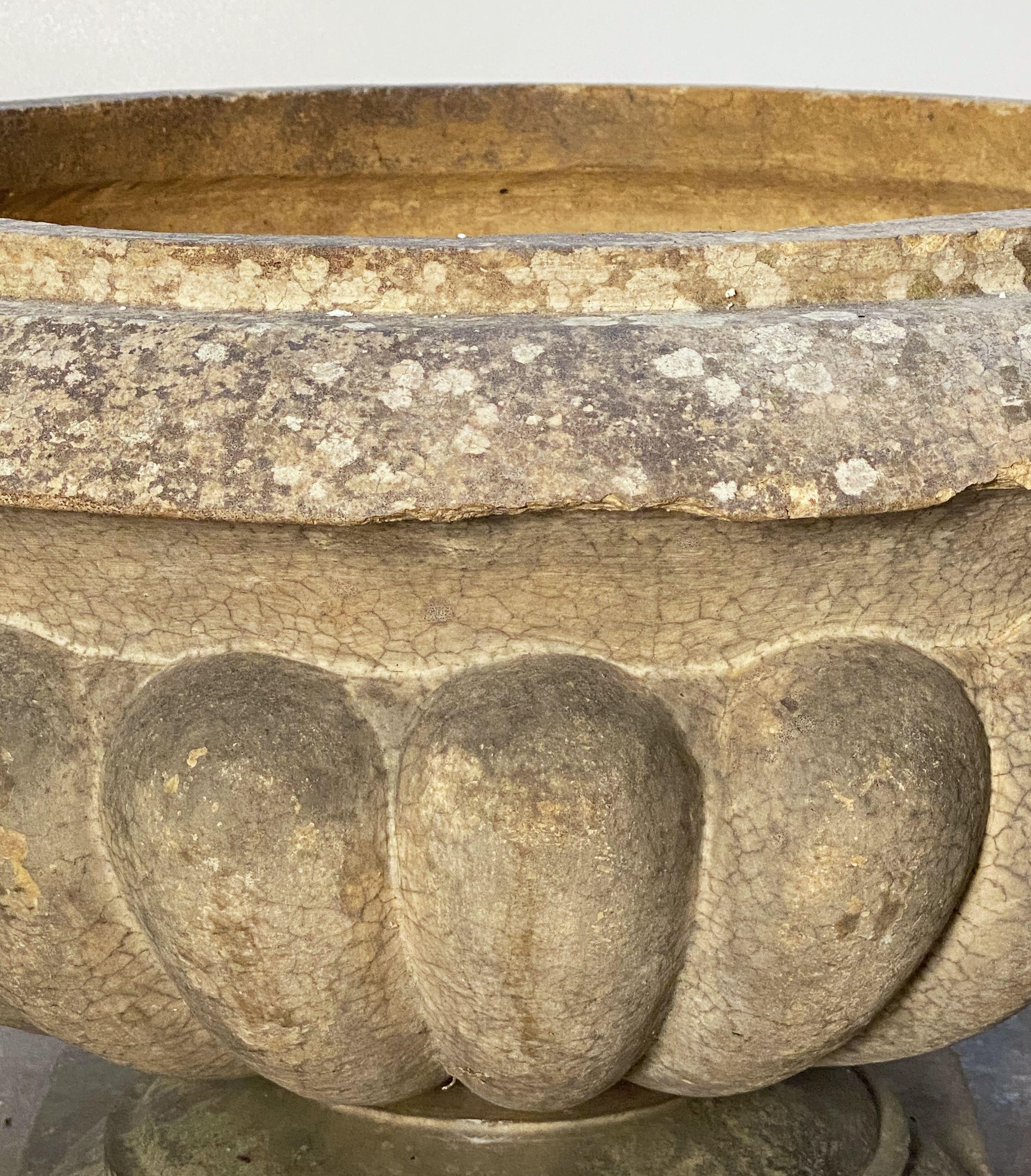 English Garden Urn or Planter Pot on Low Pedestal of Terracotta In Good Condition In Austin, TX