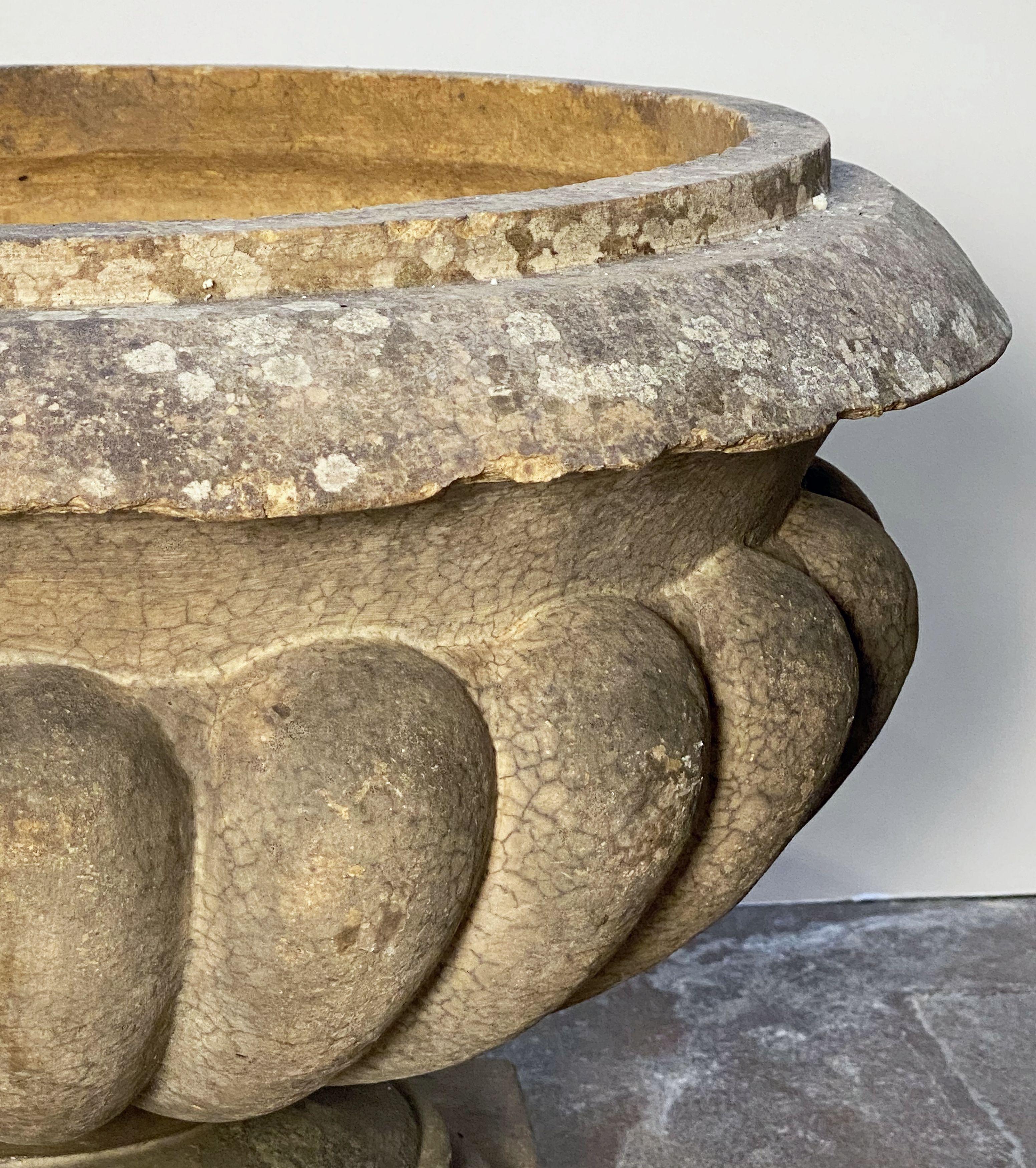 20th Century English Garden Urn or Planter Pot on Low Pedestal of Terracotta