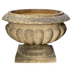 English Garden Urn or Planter Pot on Low Pedestal of Terracotta