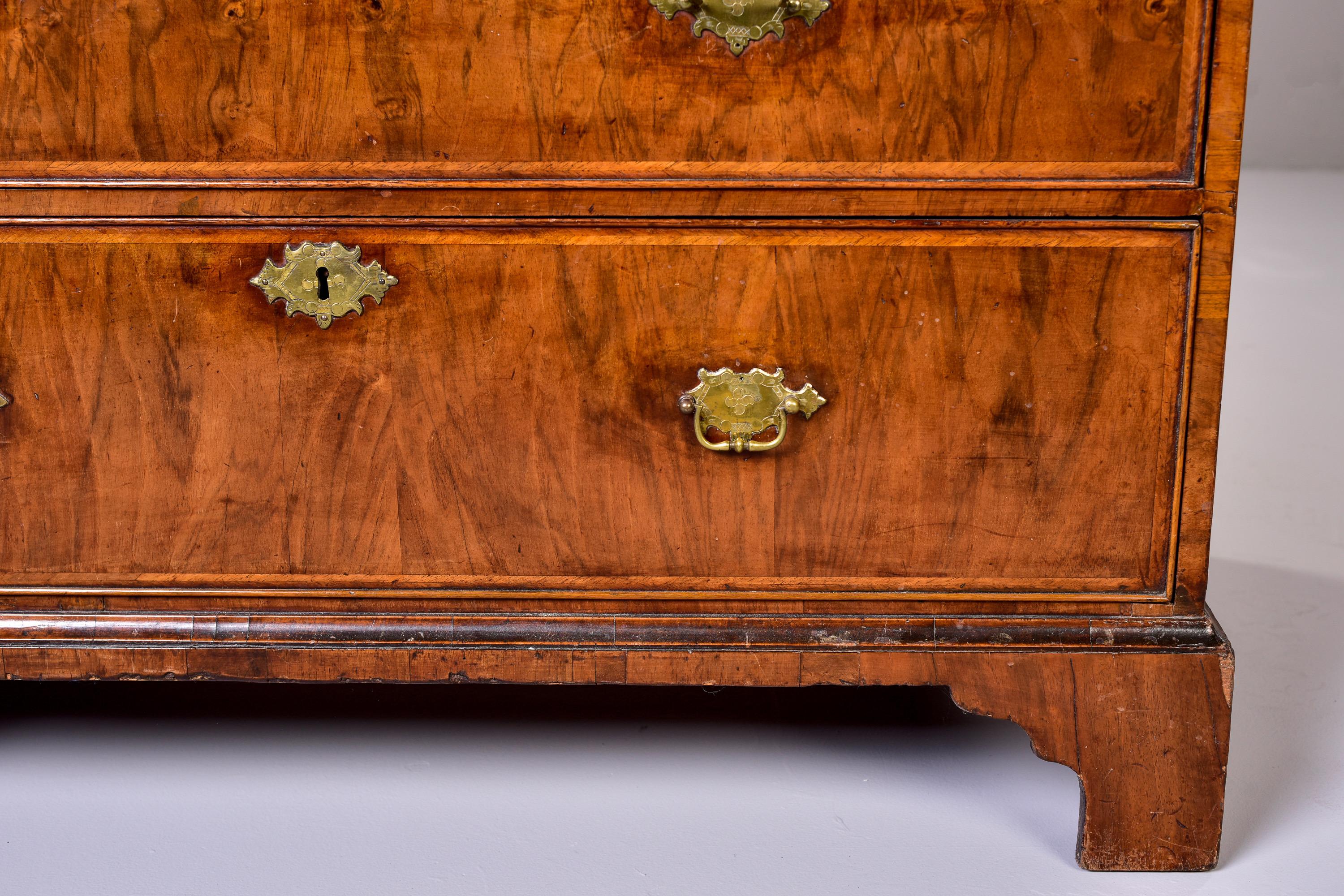 Brass English George III 18th C Burl Walnut Chest on Chest with Original Hardware