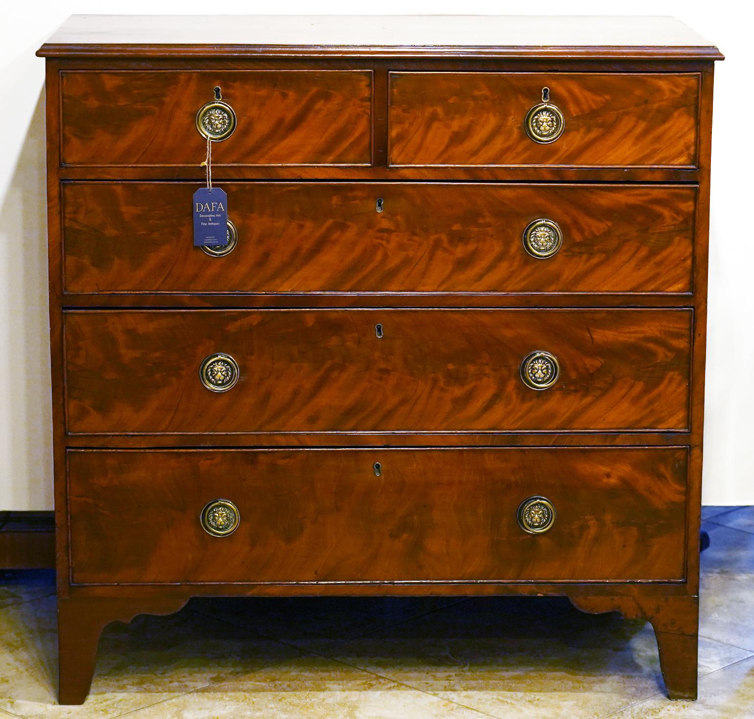 This Classic elegance George III chest features a polished one plank mahogany top above two short and three long graduated drawers all faced by attractive figured Mahogany and mounted with original lions head pulls resting on carved French feet.