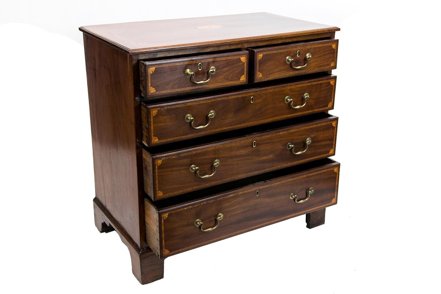  English Mahogany Five Drawer Chest For Sale 2
