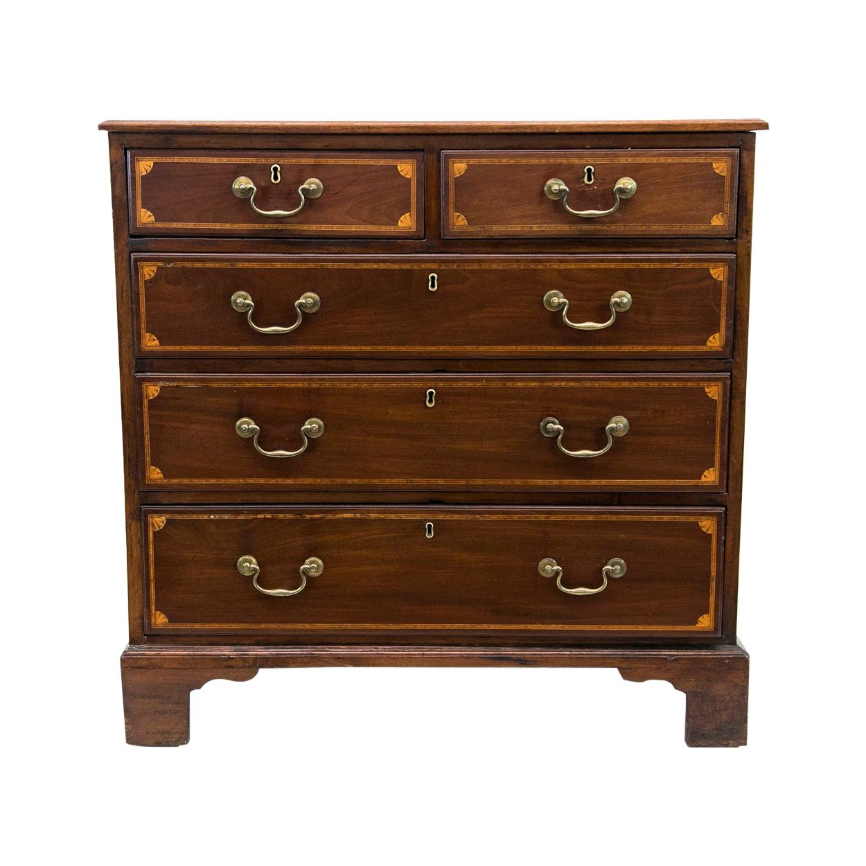  English Mahogany Five Drawer Chest For Sale
