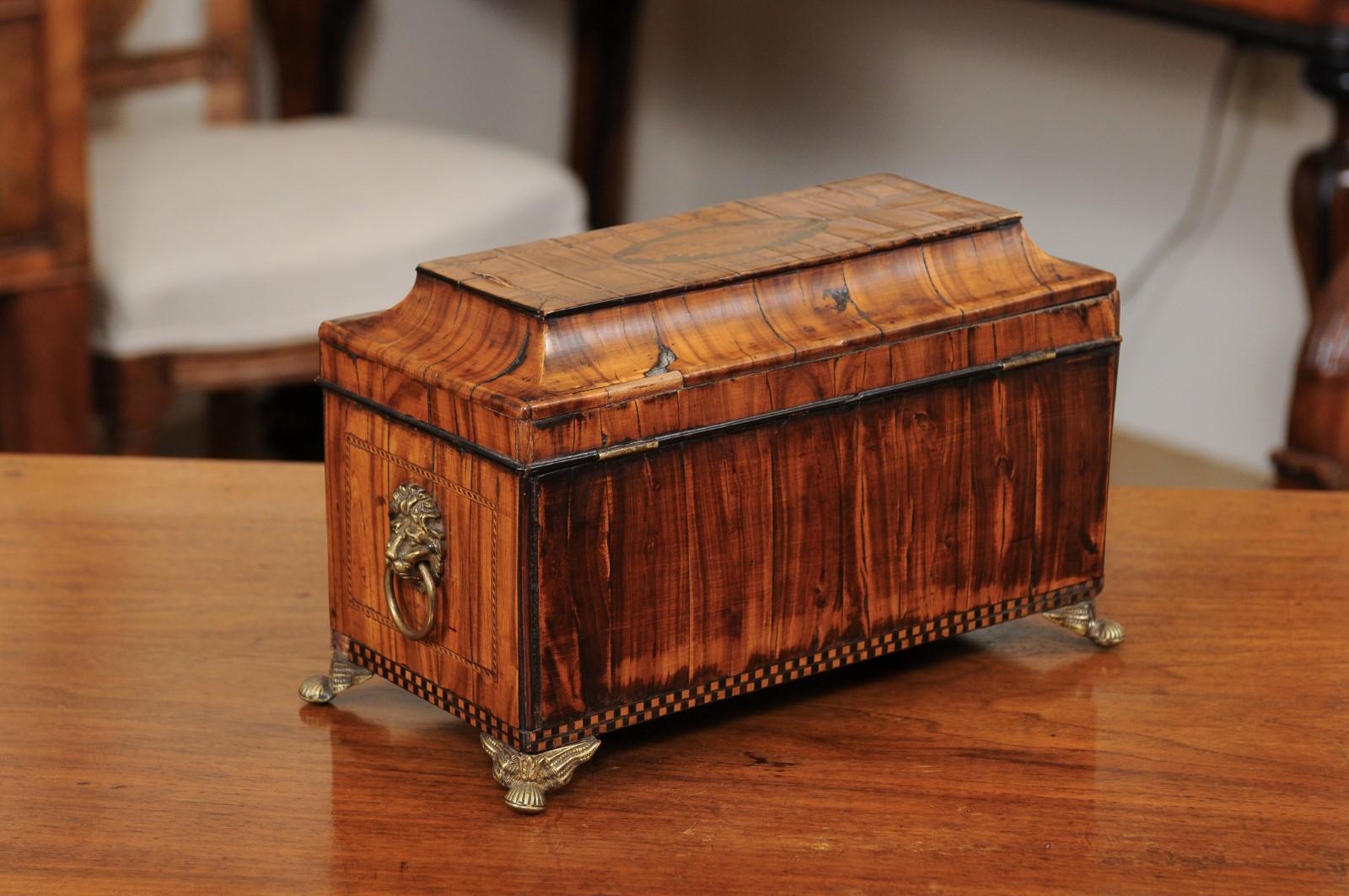English George III Olive Wood and Shell Inlaid Letter Box, Early 19th Century 6