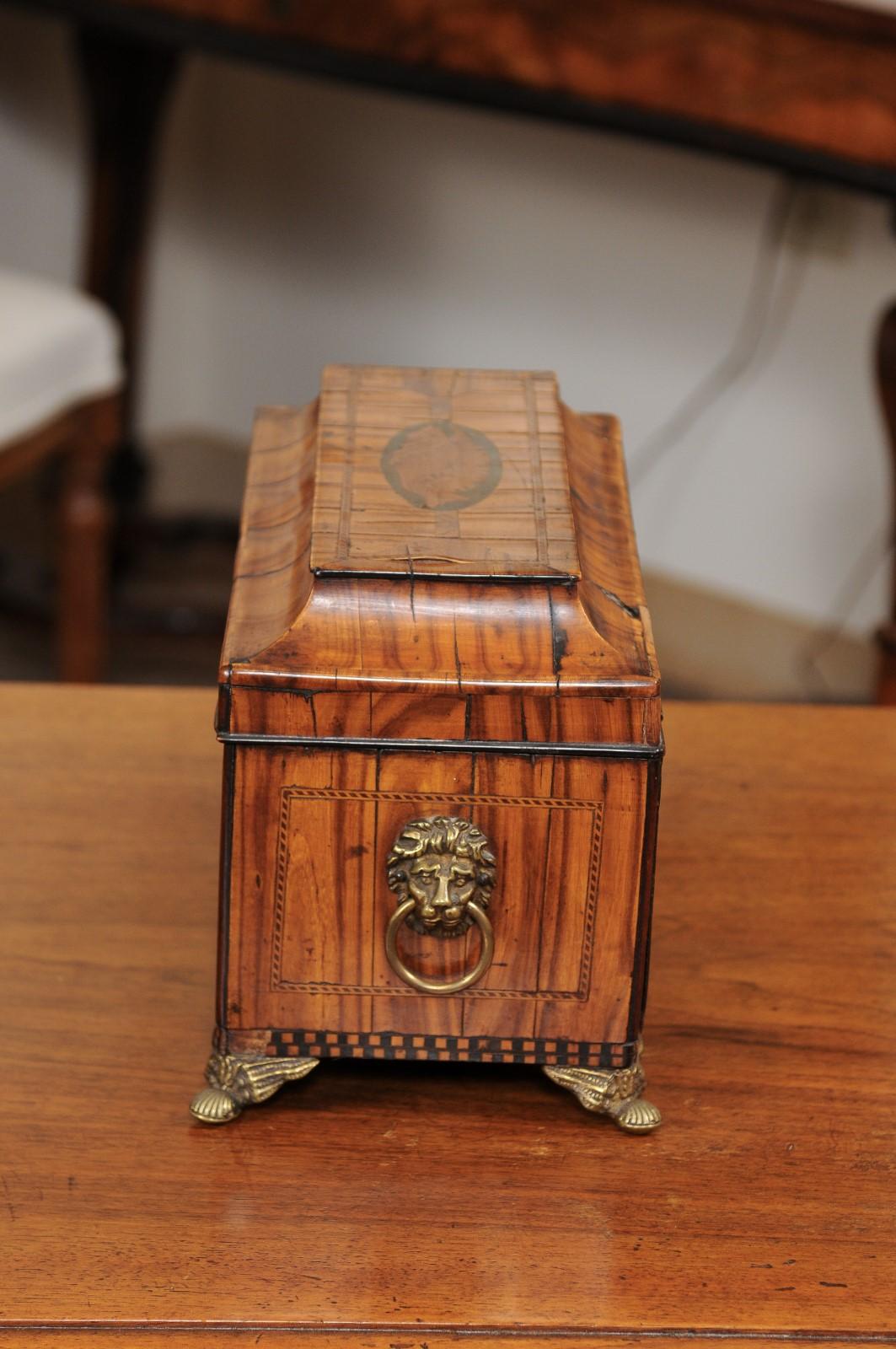 English George III Olive Wood and Shell Inlaid Letter Box, Early 19th Century 7