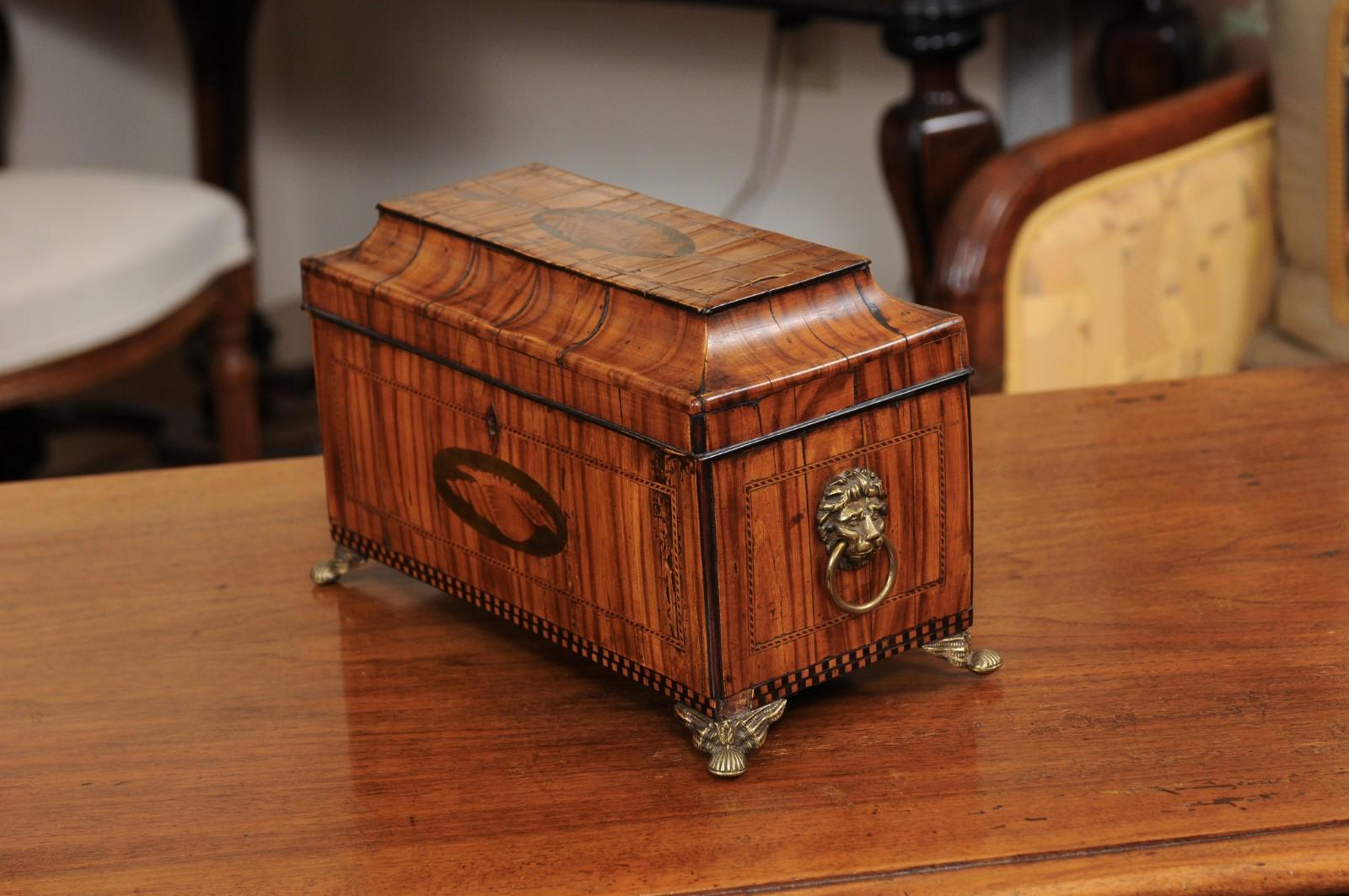 English George III Olive Wood and Shell Inlaid Letter Box, Early 19th Century 8