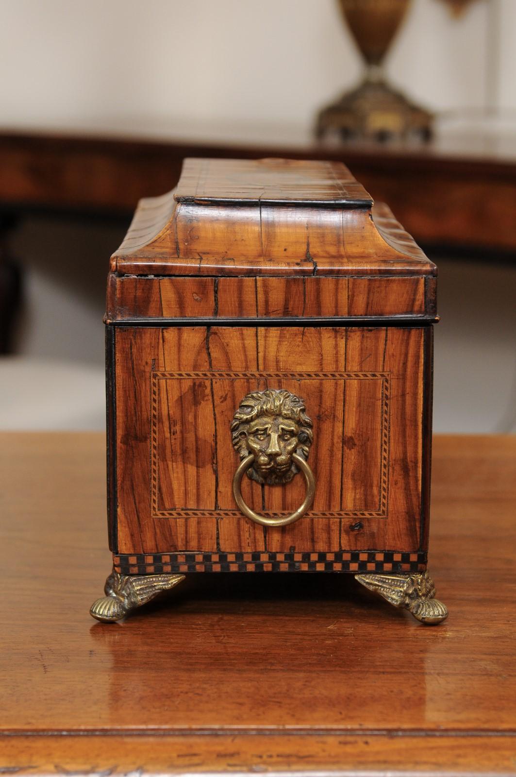 English George III Olive Wood and Shell Inlaid Letter Box, Early 19th Century 2