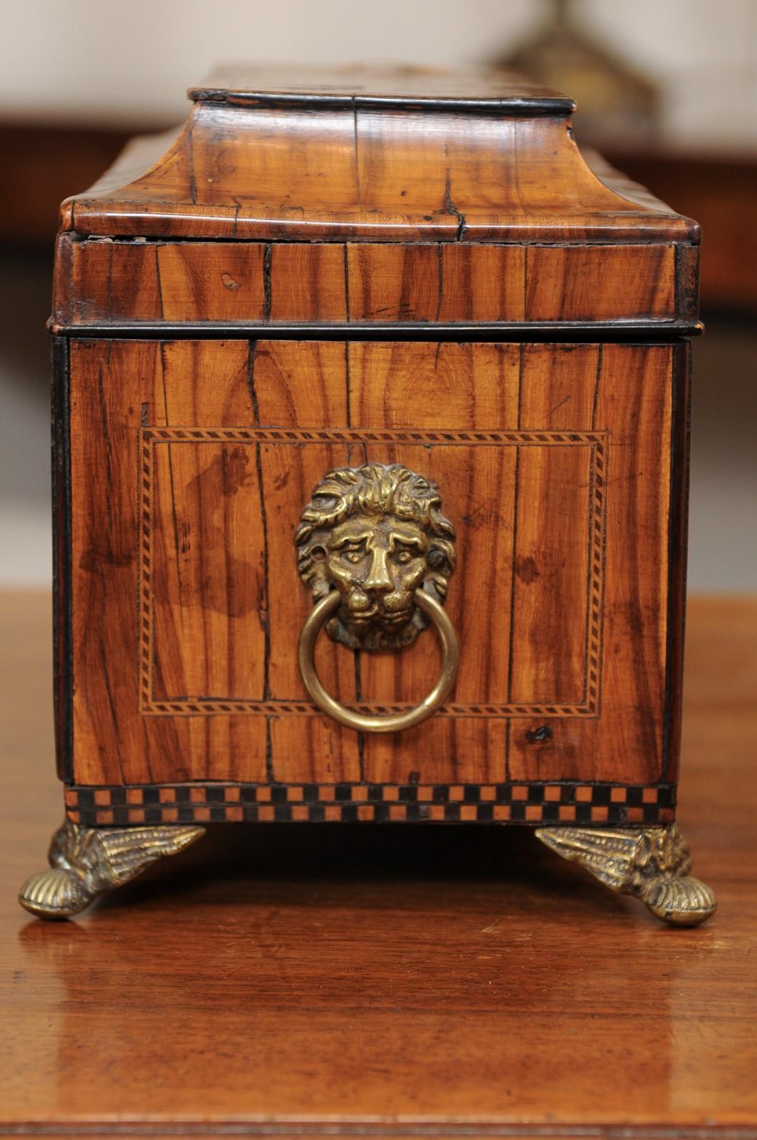 English George III Olive Wood and Shell Inlaid Letter Box, Early 19th Century 3