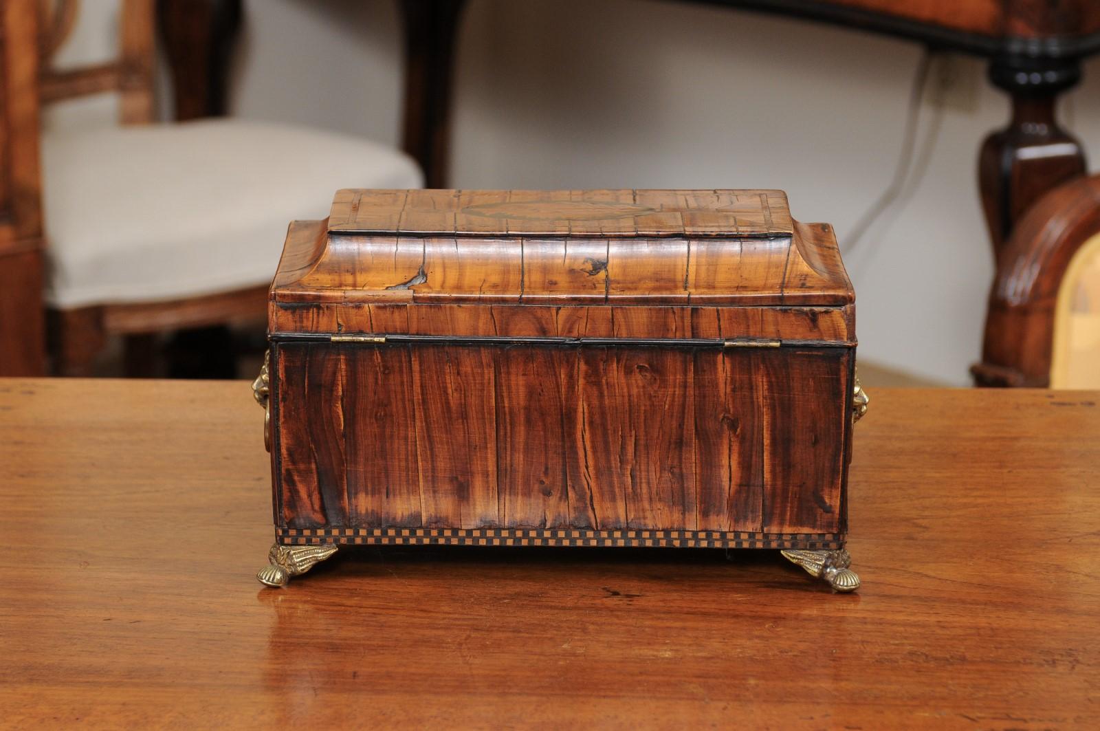English George III Olive Wood and Shell Inlaid Letter Box, Early 19th Century 5