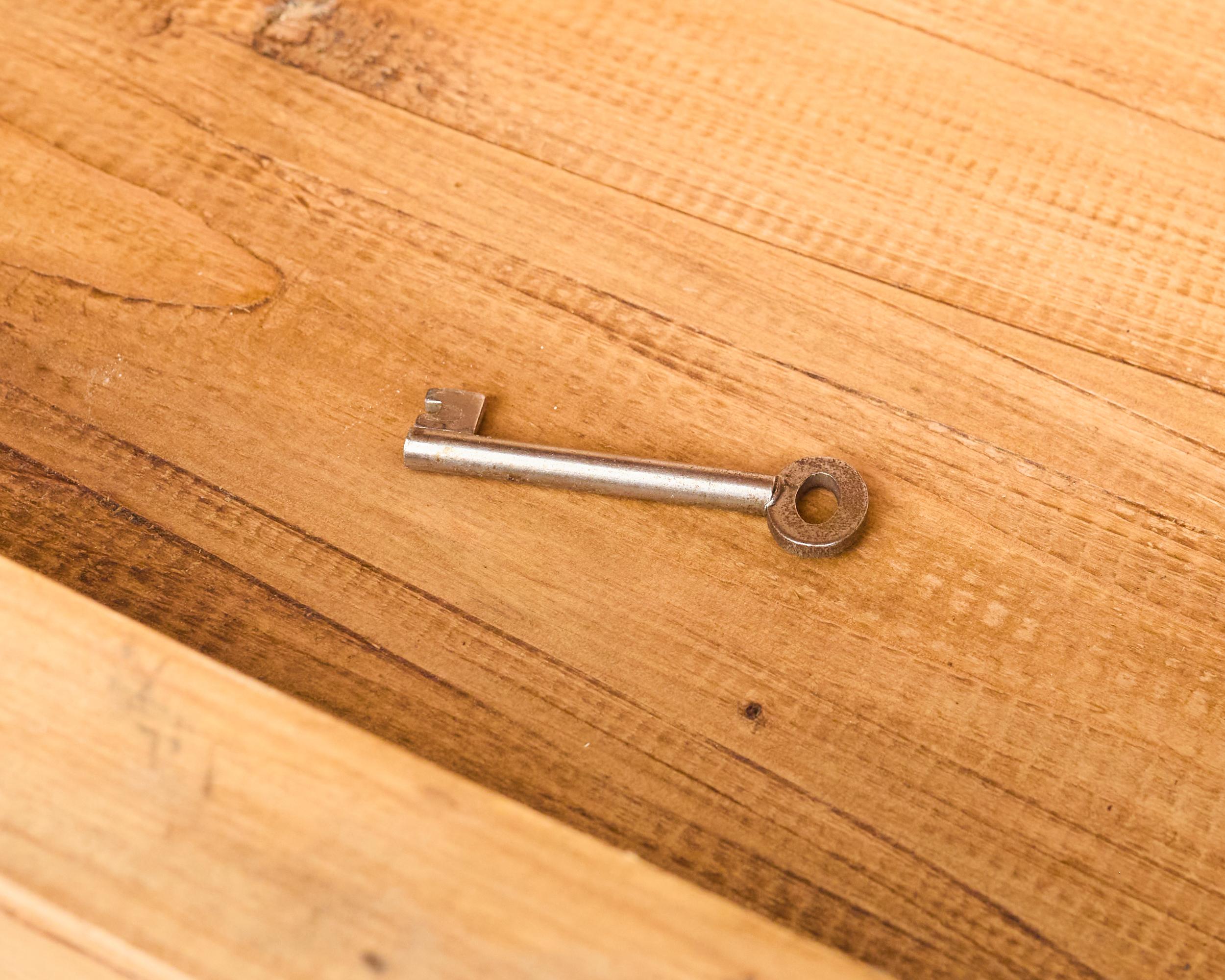 Libreria bibliotecaria inglese in stile Giorgio III in pino smaltato Astral in vendita 5