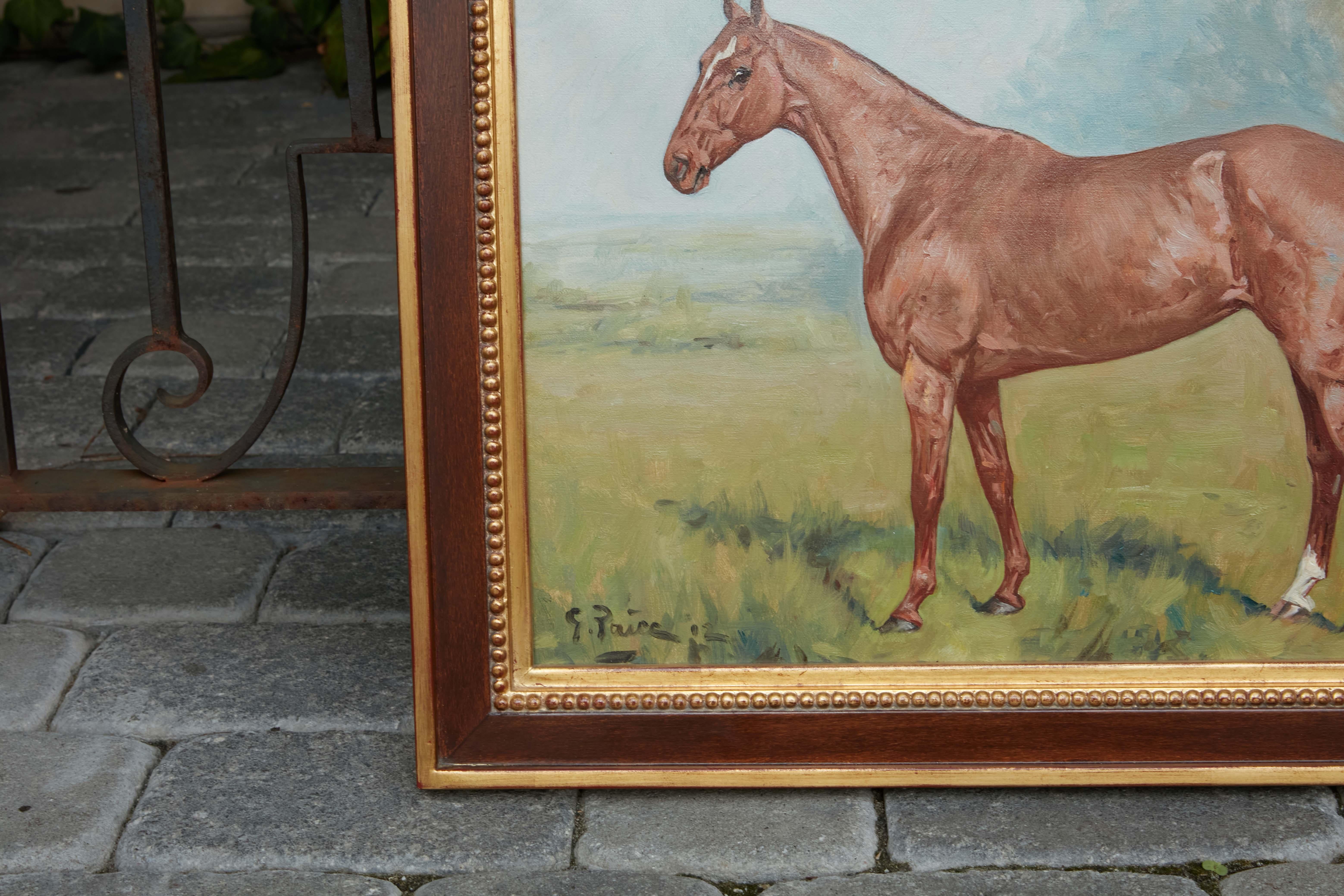 Un dipinto equestre inglese a olio su tela dei primi del Novecento firmato George Paice (1854-1925), raffigurante un cavallo in piedi in un campo, in una nuova cornice personalizzata marrone e dorata. Creato nei primi anni del XX secolo dal pittore