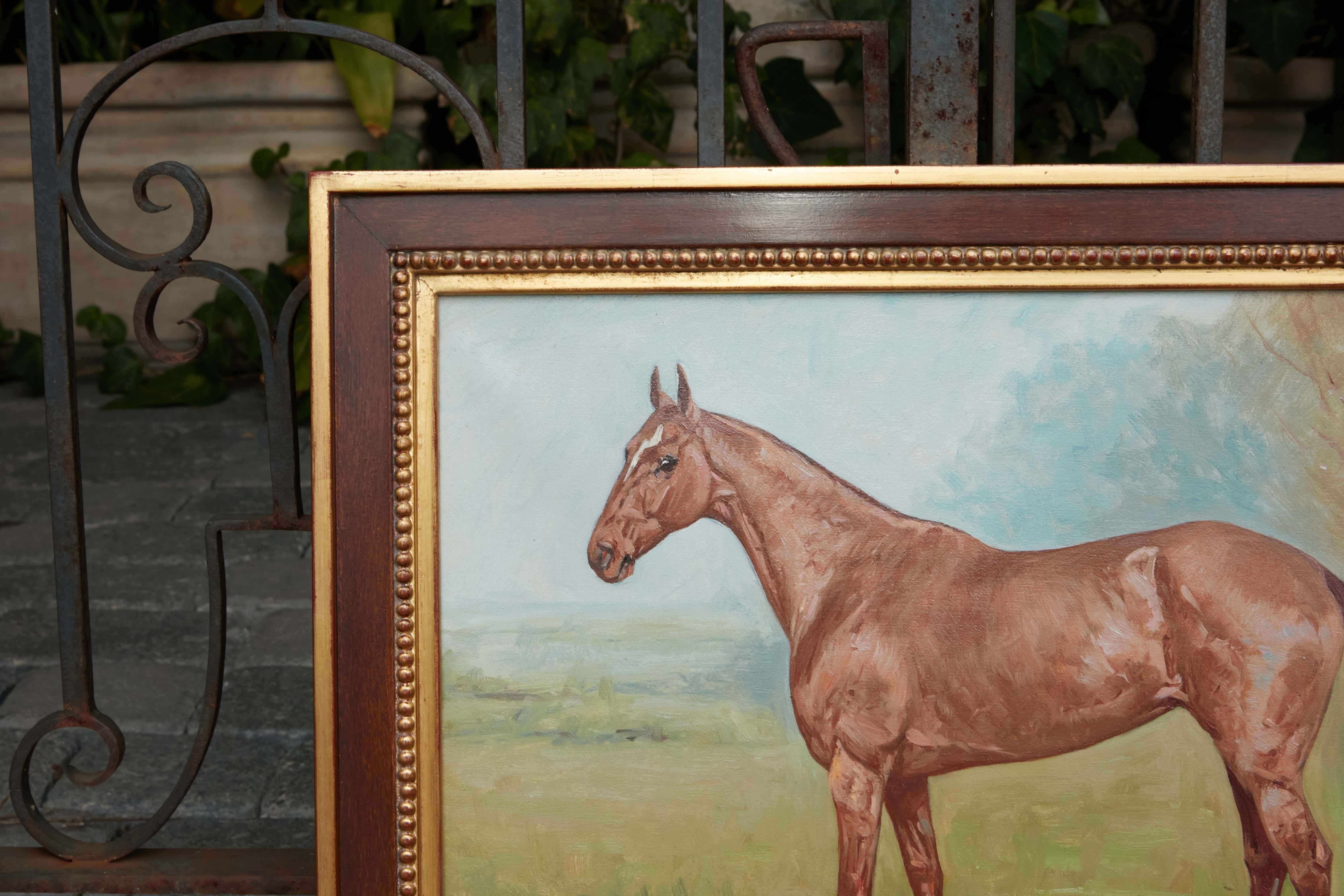 Inglese George Paice 1912, olio su tela, dipinto di cavallo con un singolo calzino bianco in vendita