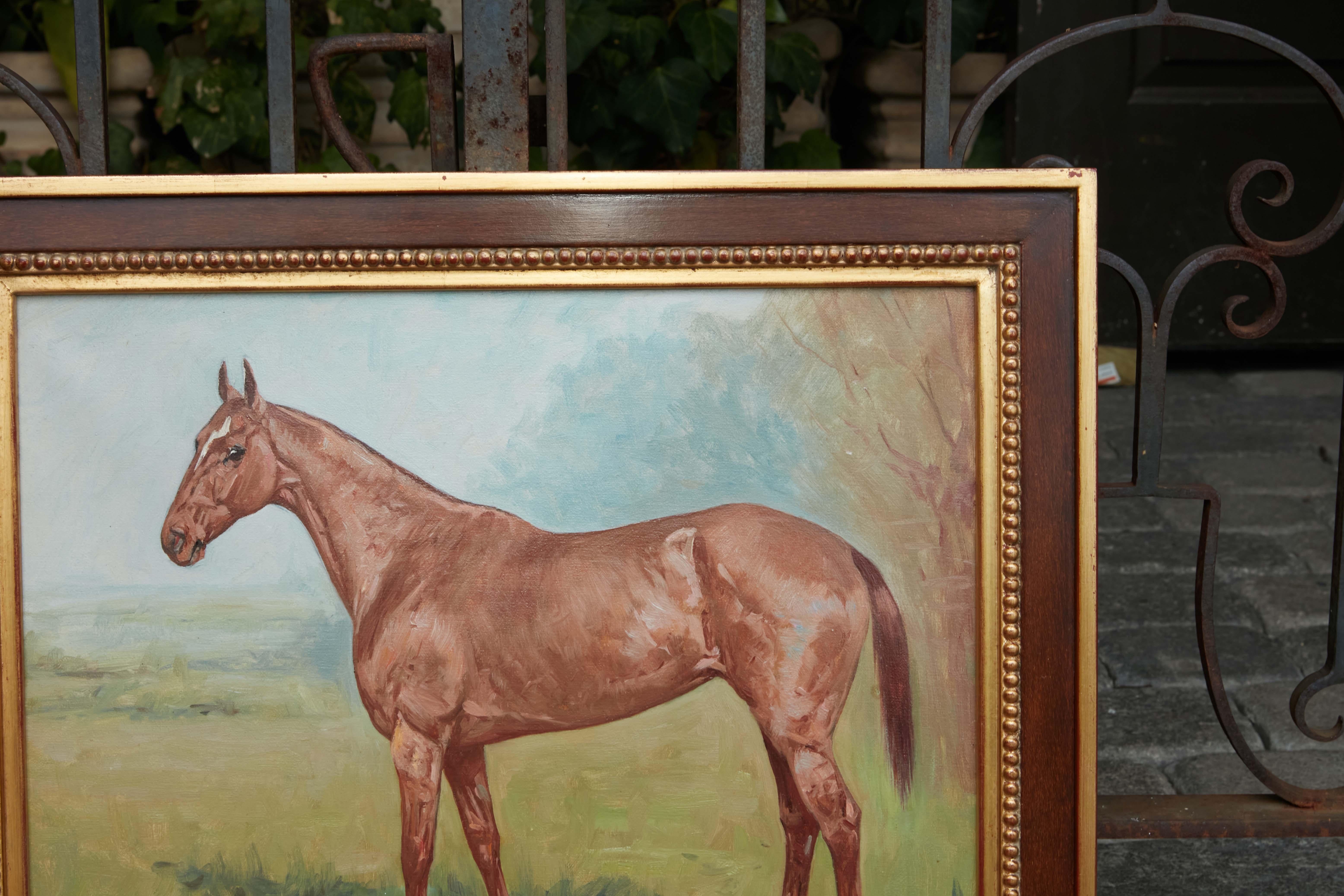 Dipinto a mano George Paice 1912, olio su tela, dipinto di cavallo con un singolo calzino bianco in vendita