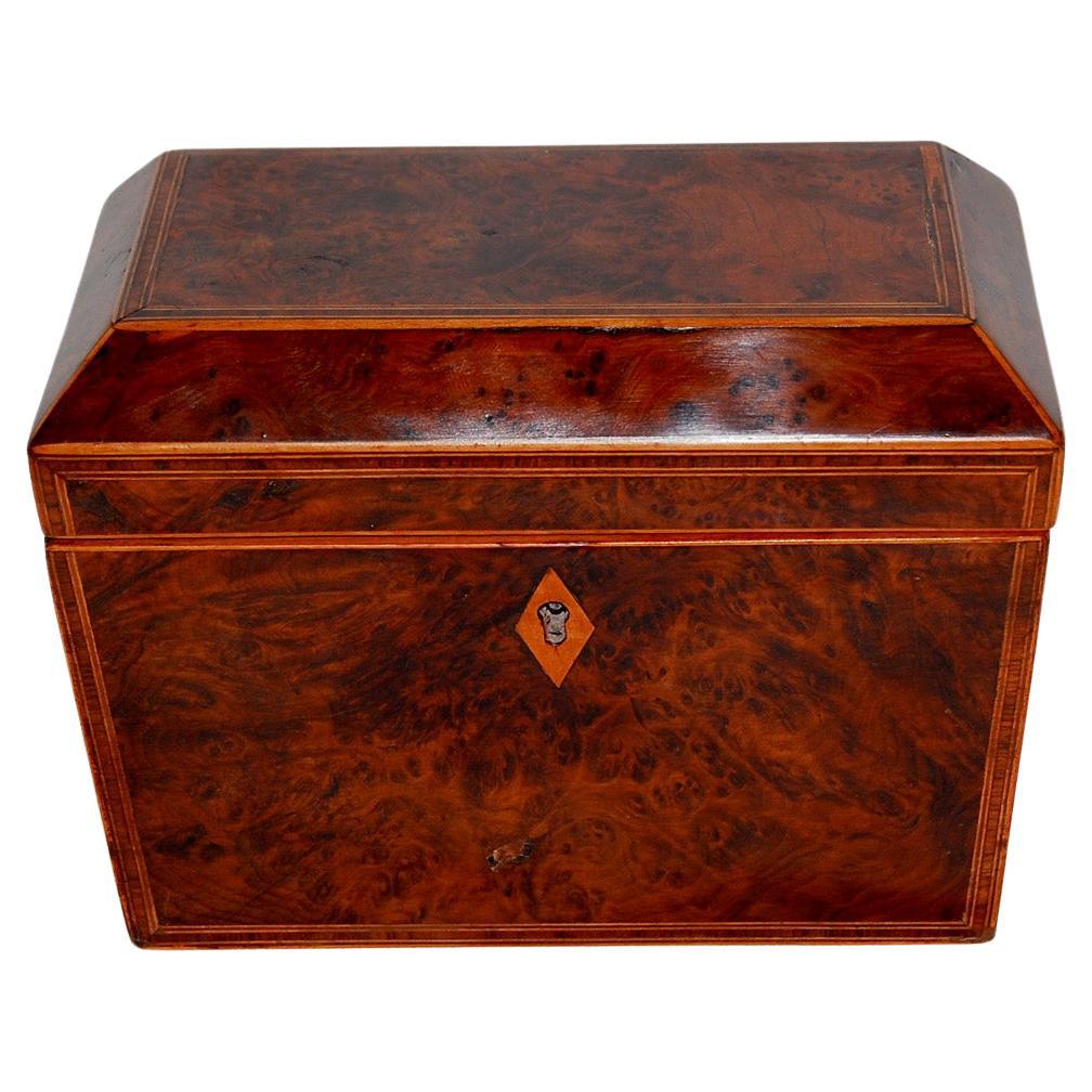 English Georgian Burl Yew Double Tea Caddy with Line Inlay and Crossbanding For Sale