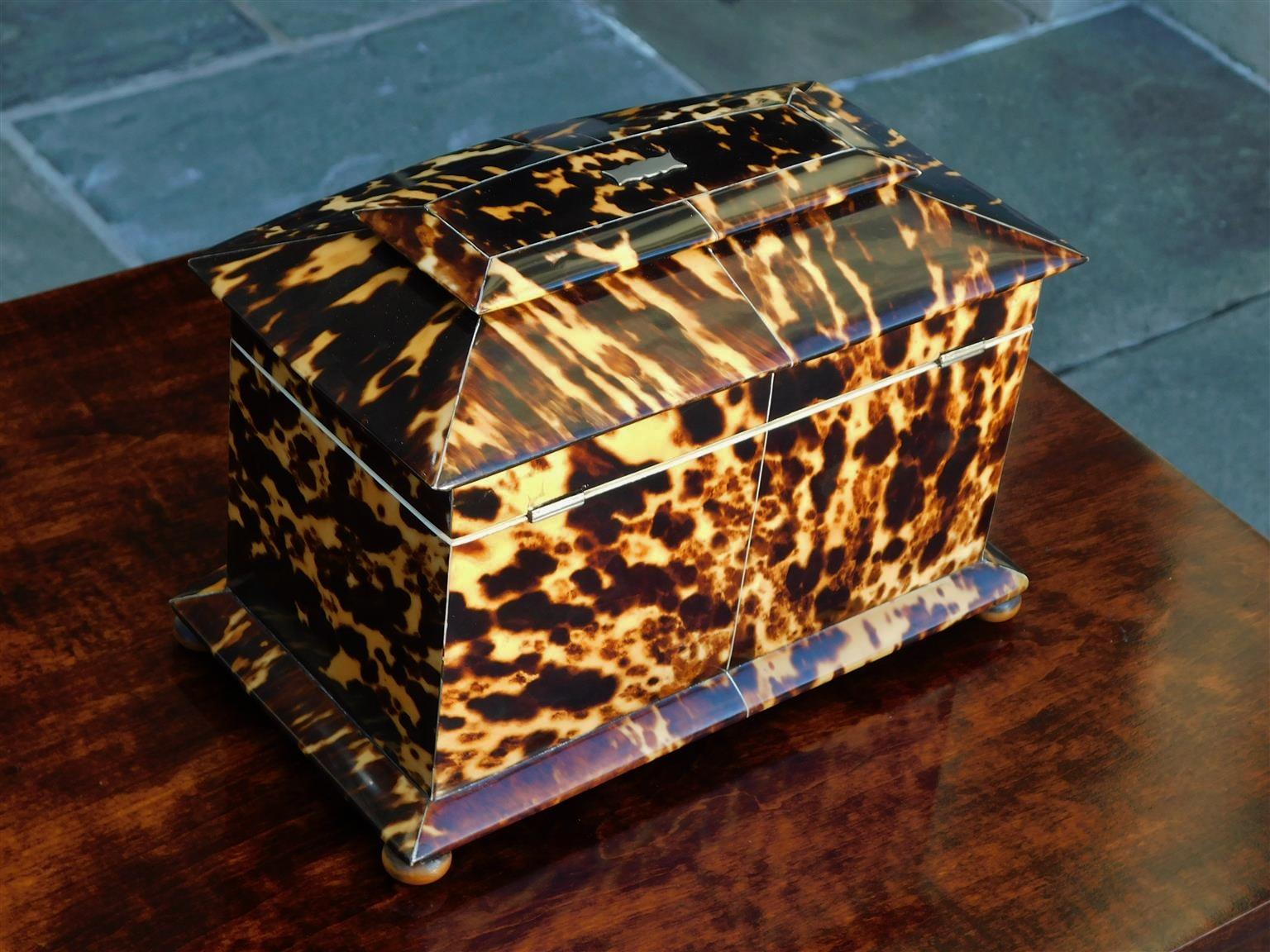 English Georgian Chinroserie Tortoise Shell Tea Caddy with Ball Feet, C. 1800 For Sale 8