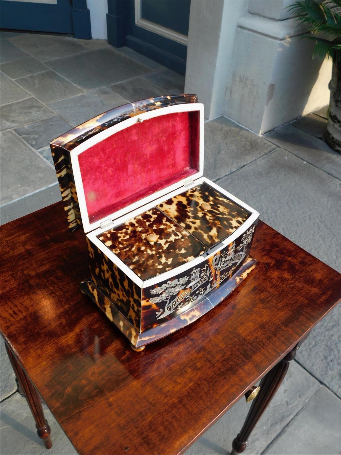 English Georgian Chinroserie Tortoise Shell Tea Caddy with Ball Feet, C. 1800 For Sale 2