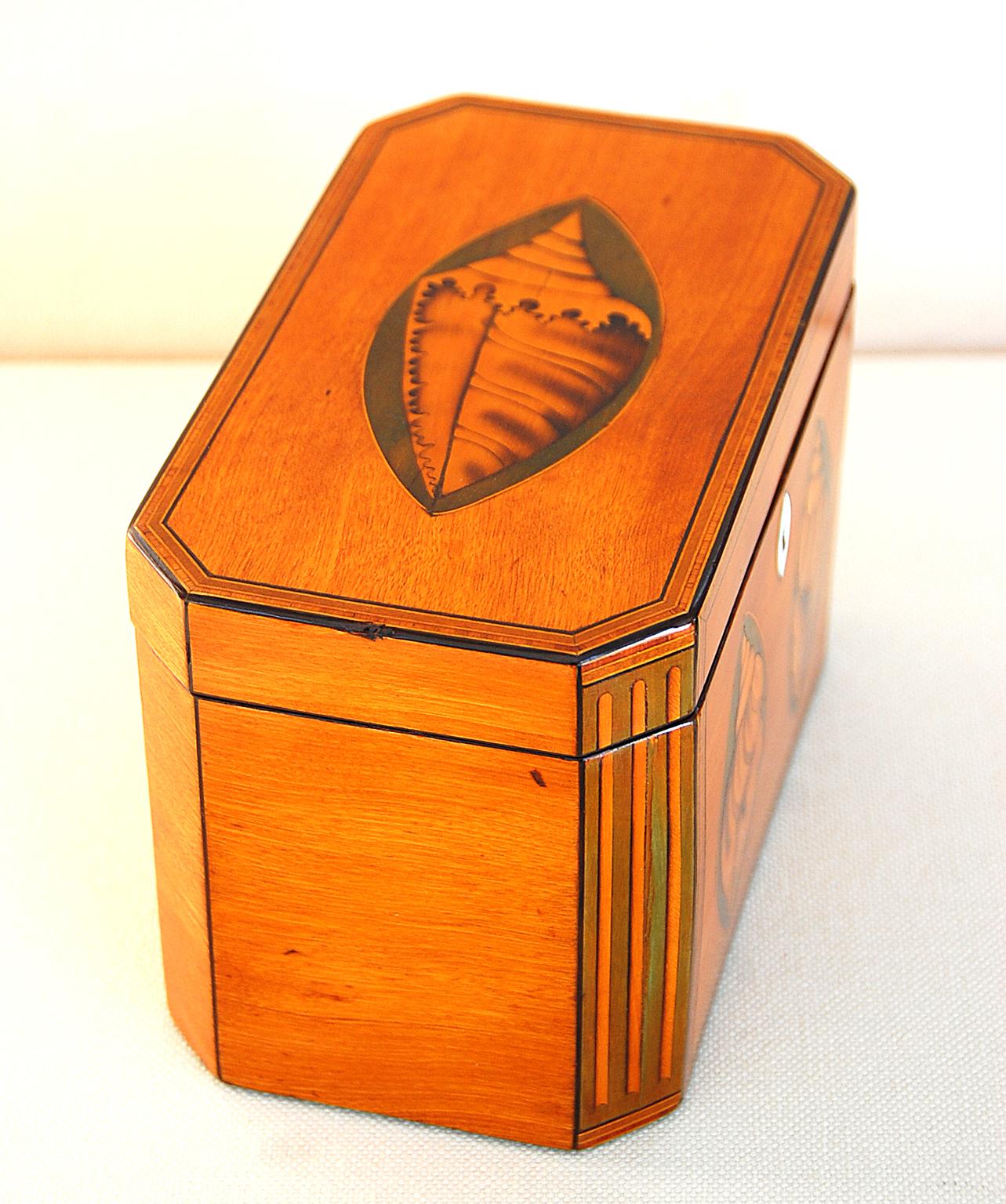 English Georgian Double Tea Caddy with Boxwood Shell and Column Inlays In Good Condition For Sale In Wells, ME