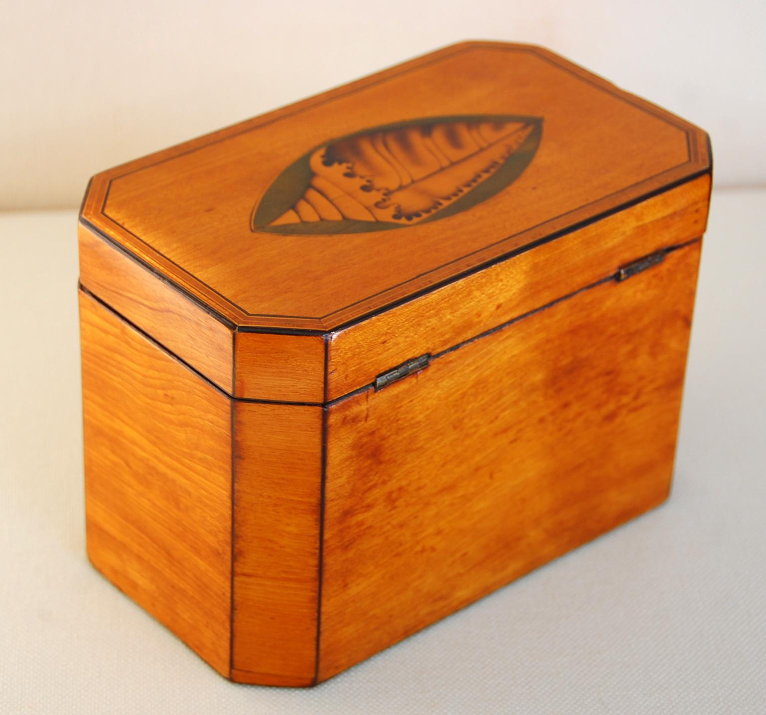 18th Century English Georgian Double Tea Caddy with Boxwood Shell and Column Inlays For Sale