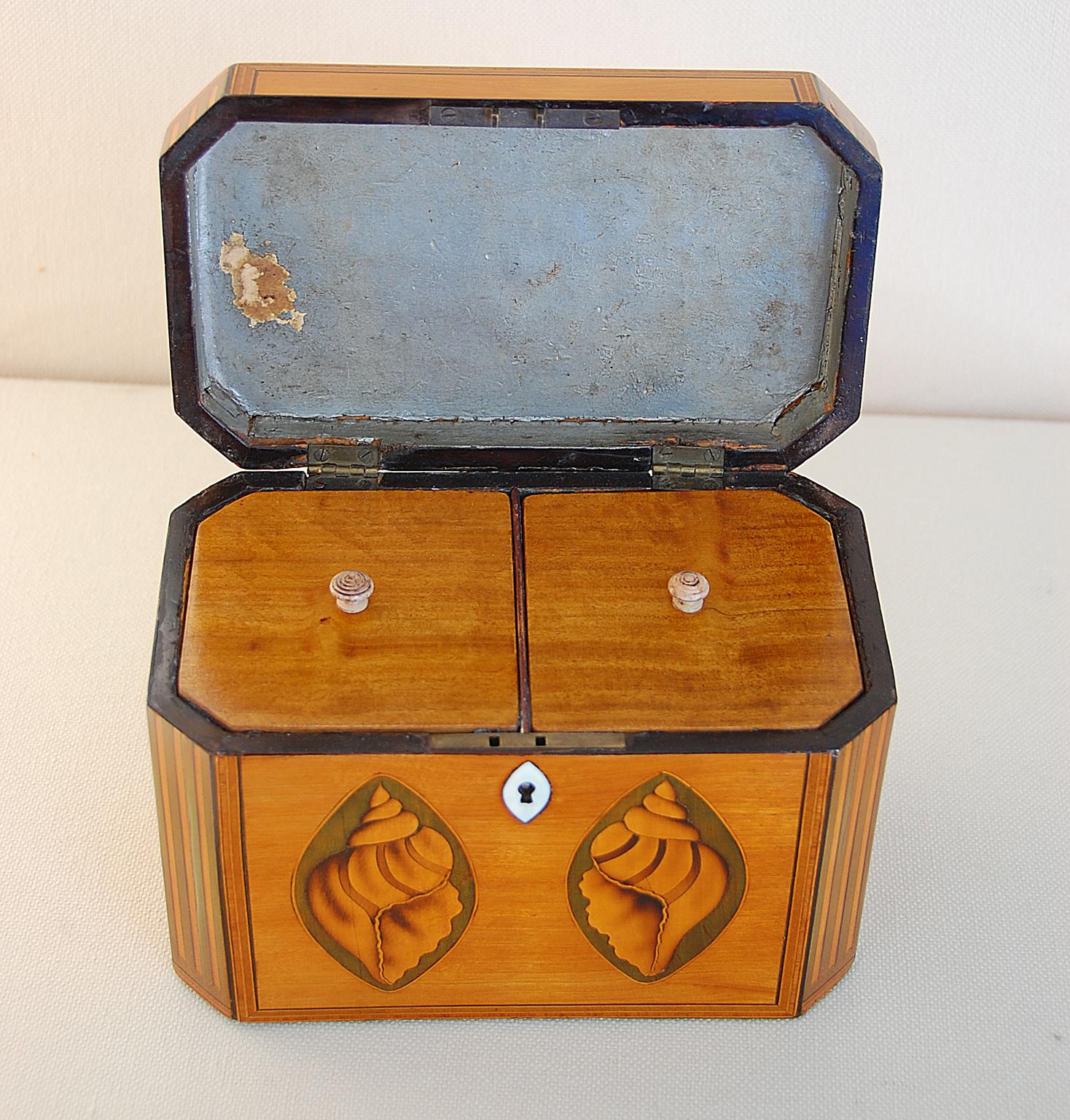 Satinwood English Georgian Double Tea Caddy with Boxwood Shell and Column Inlays For Sale