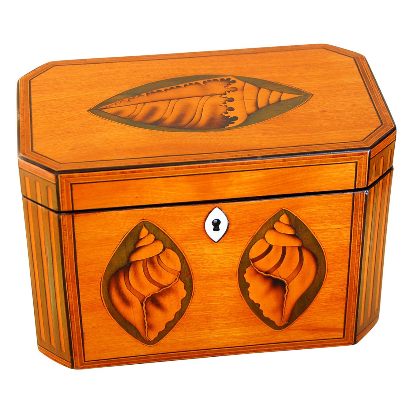 English Georgian Double Tea Caddy with Boxwood Shell and Column Inlays